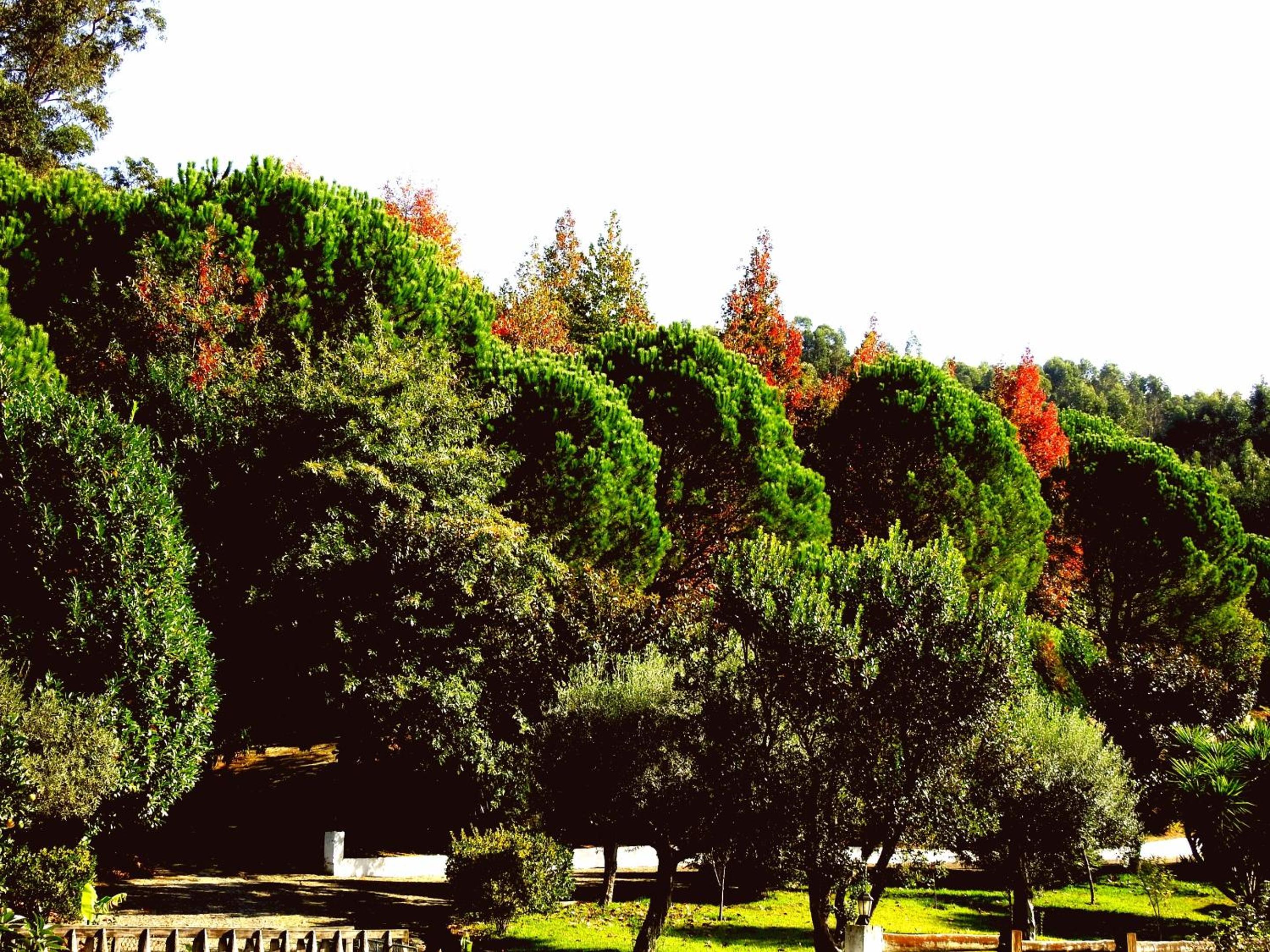 Photo 47