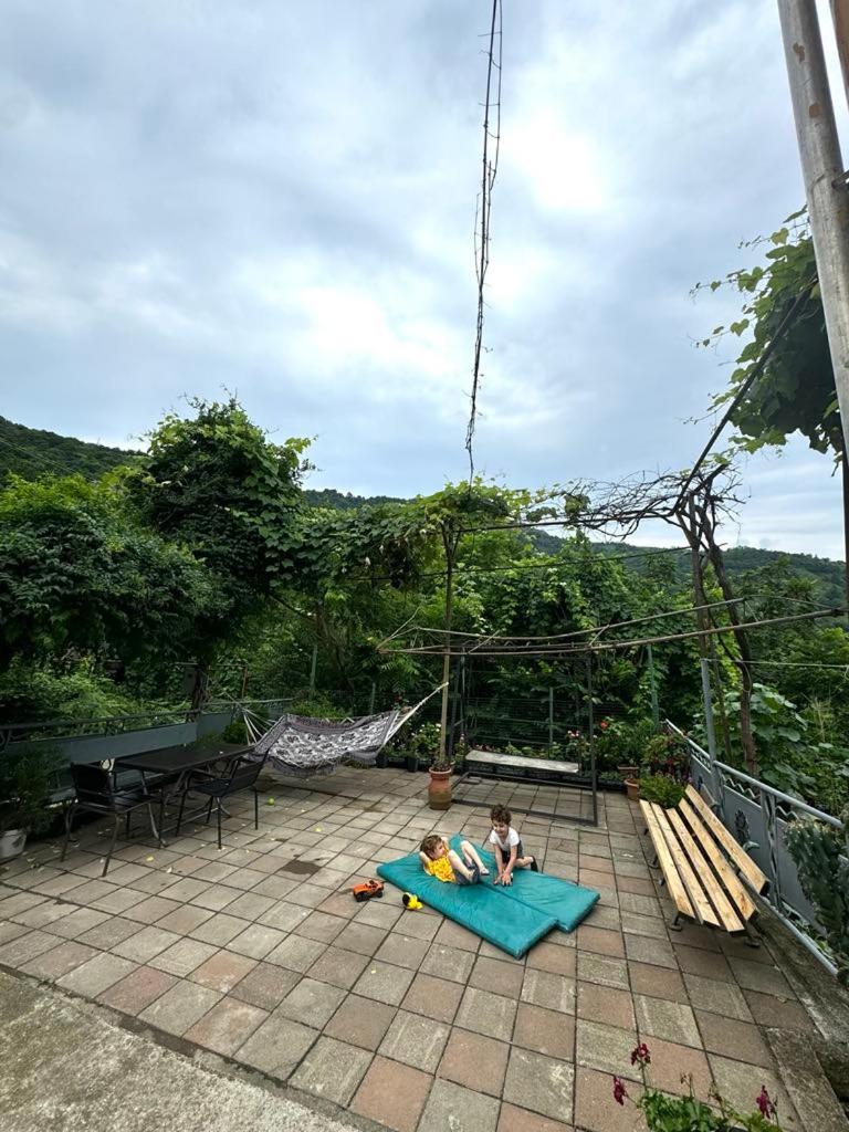 Guesthouse Tornike