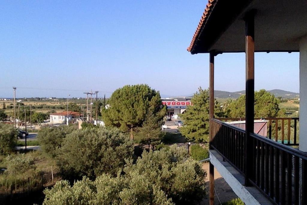 Psakoudia old olive trees appartment 50 m2, 2 bedrooms, sea view view 4