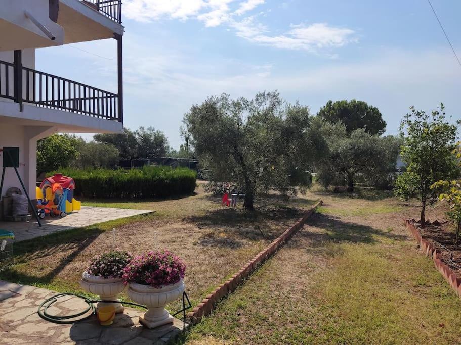 Psakoudia old olive trees appartment 50 m2, 2 bedrooms, sea view view 3