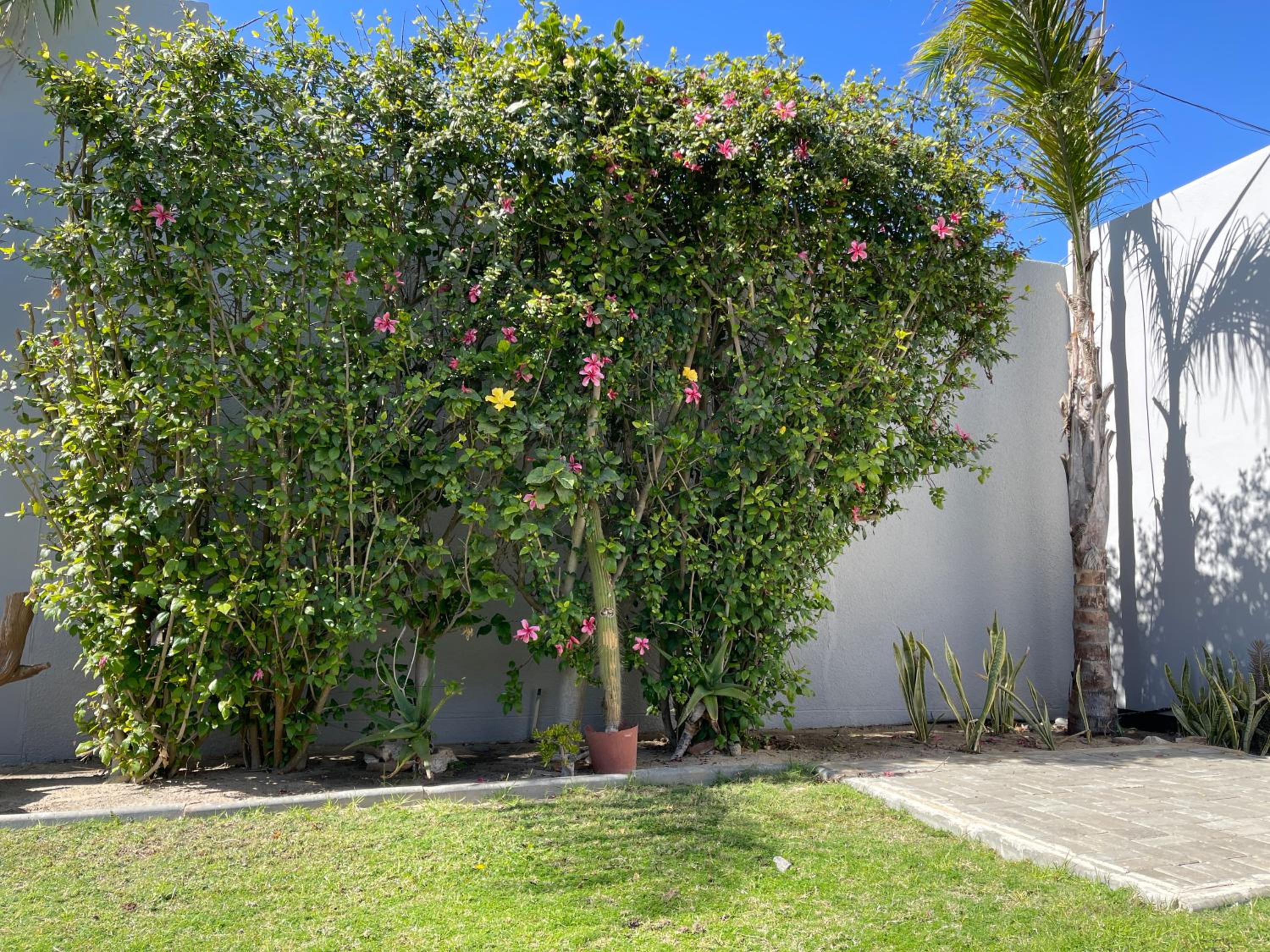 Fischreiher Seaside Self-Catering House