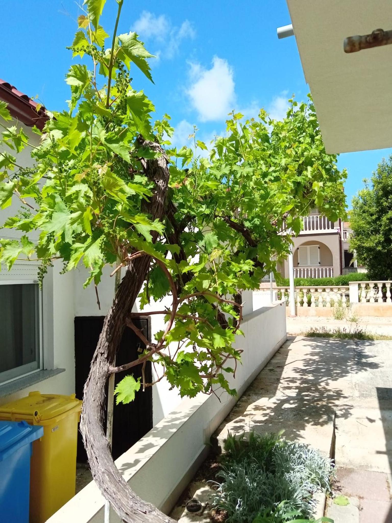 Apartman Kata