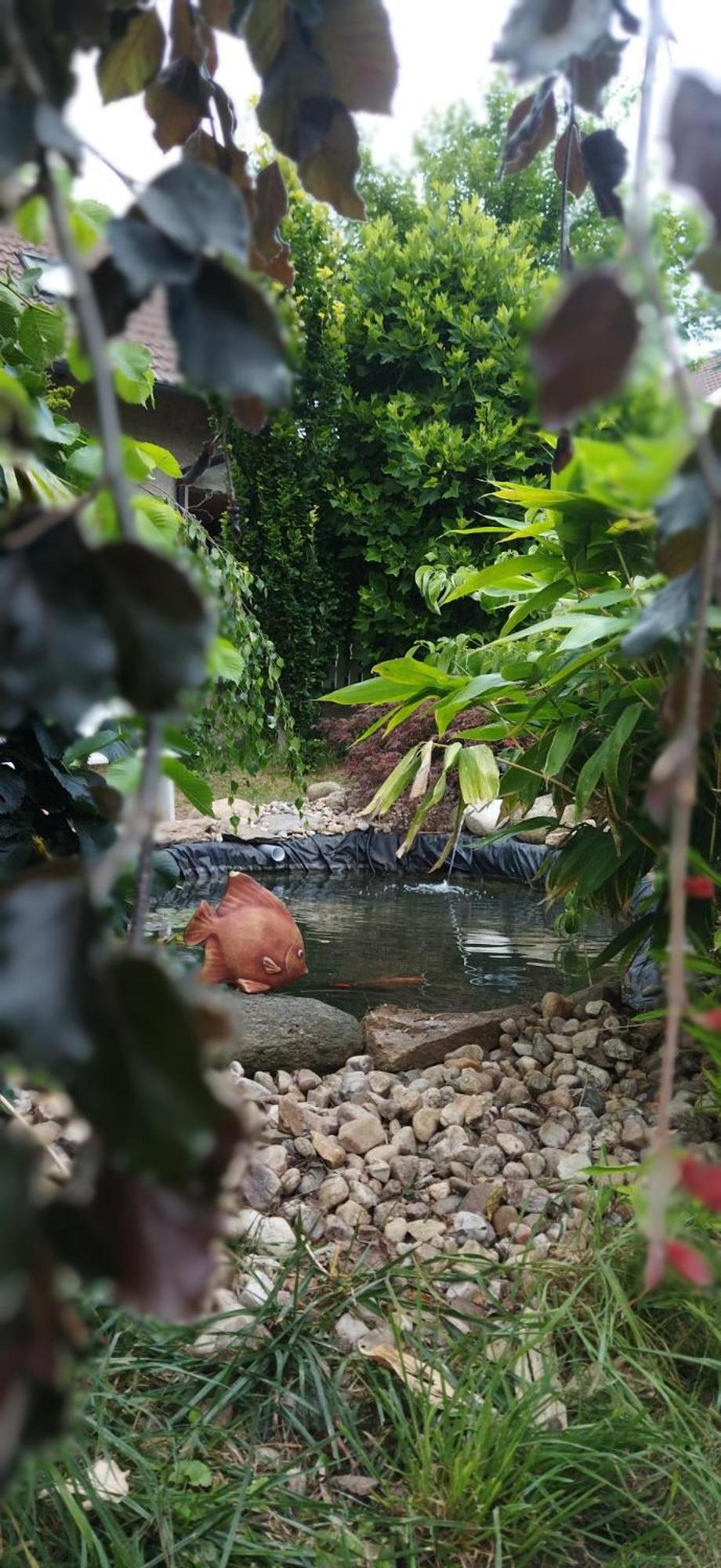 Rekreační wellness dům Mariposa