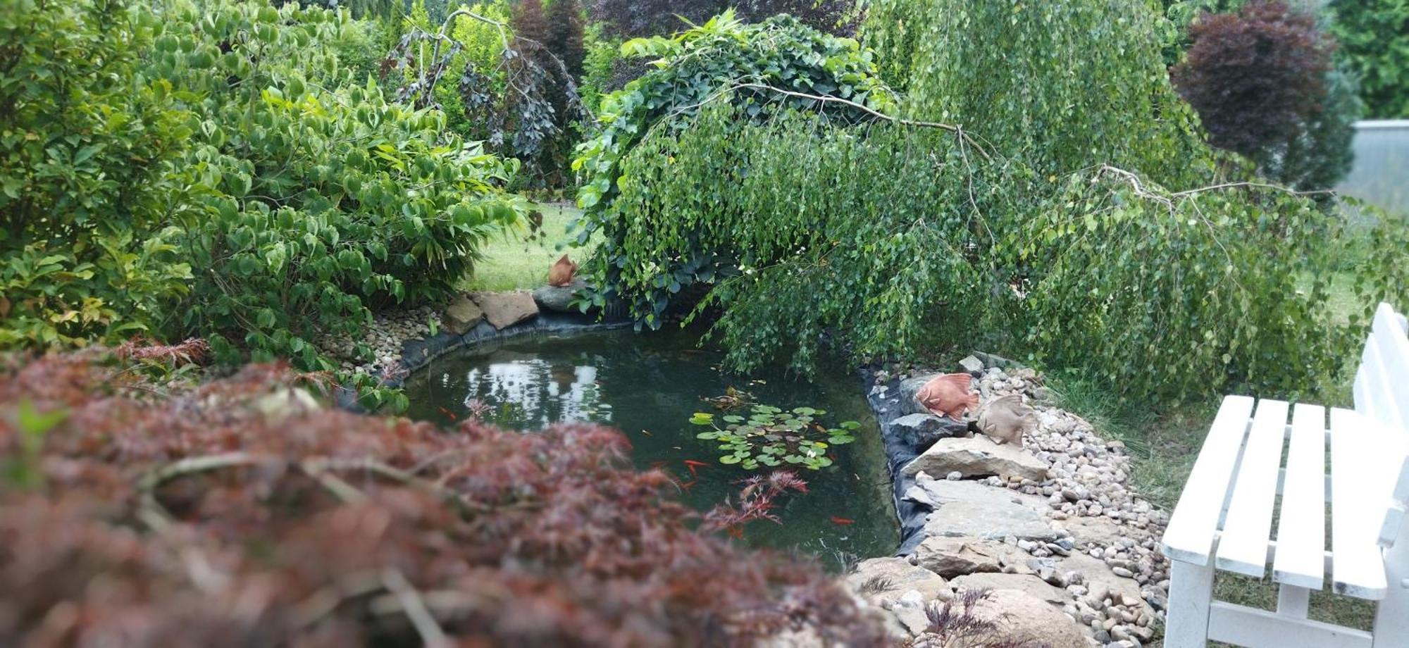 Rekreační wellness dům Mariposa