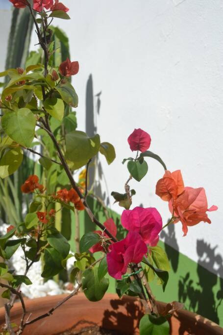 Photo 27