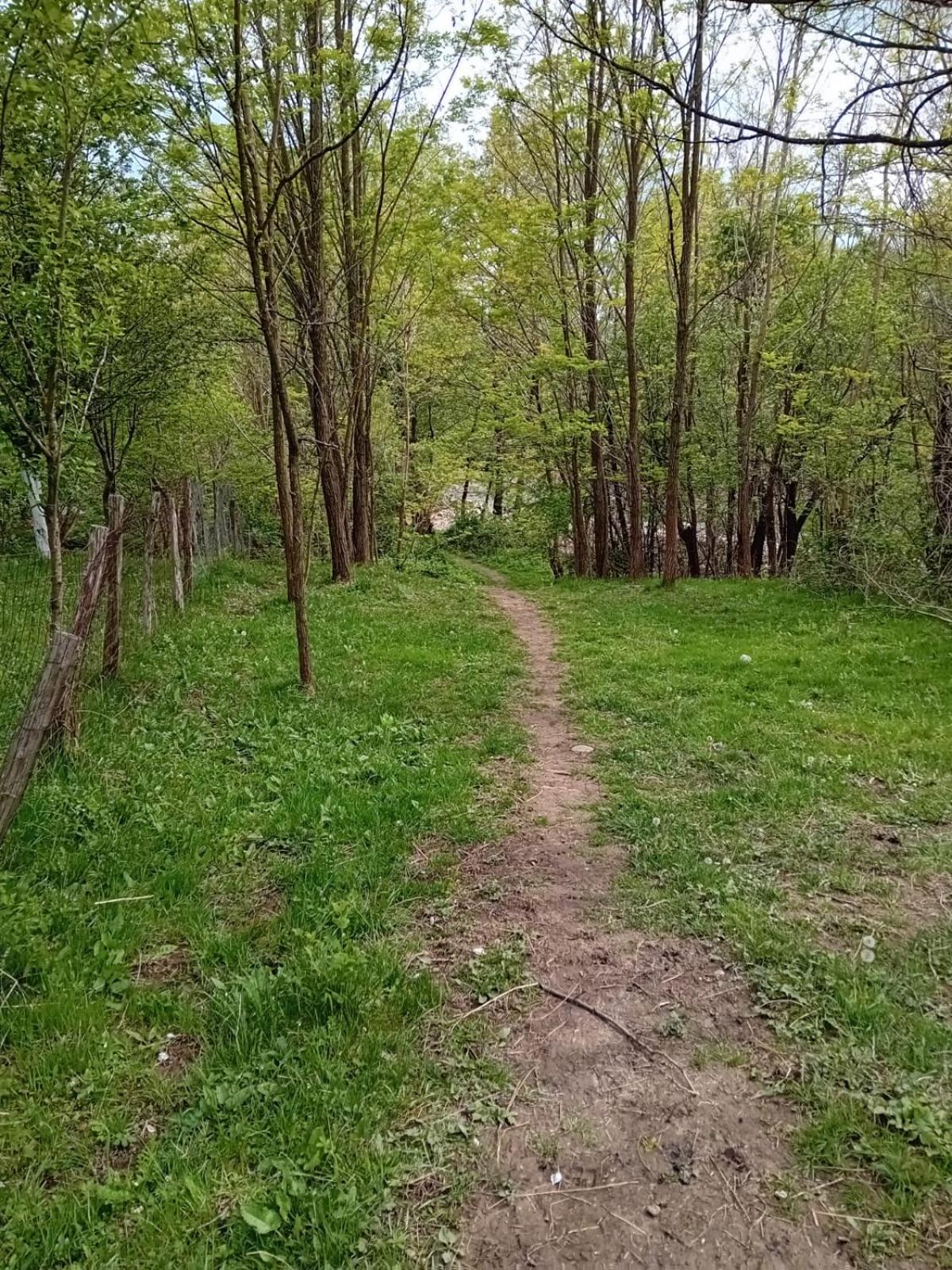 Photo 27
