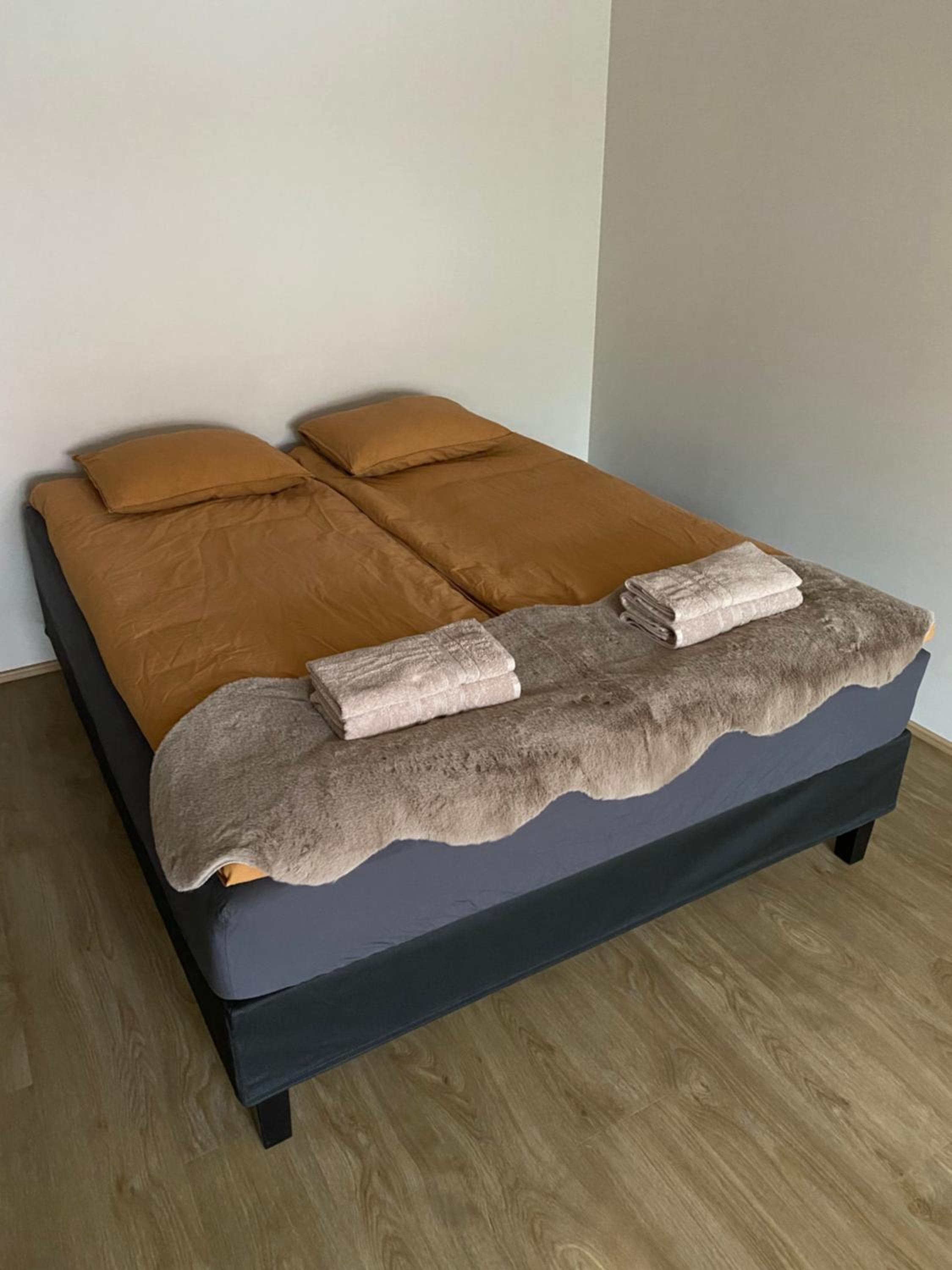 Olavi C