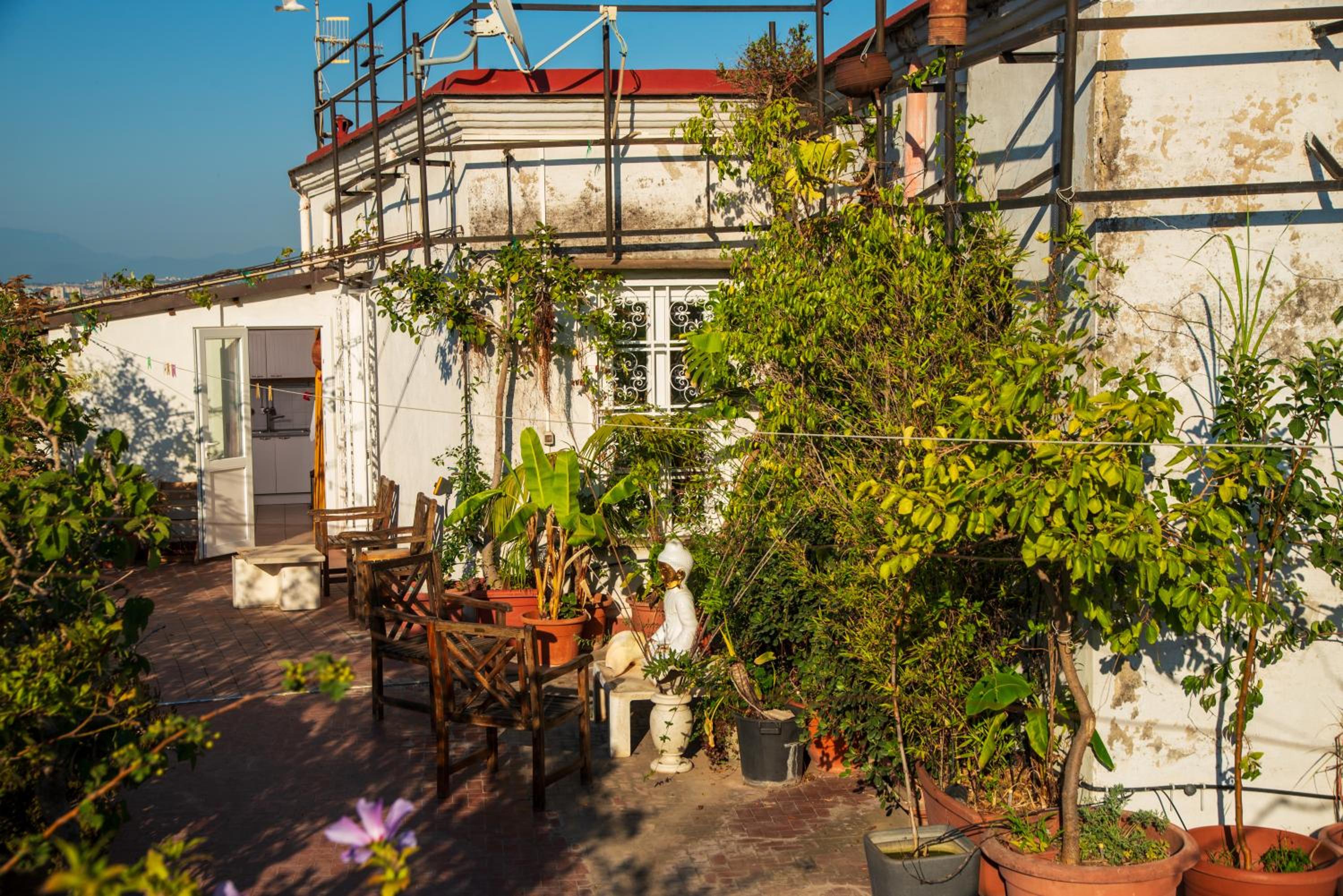 roof
