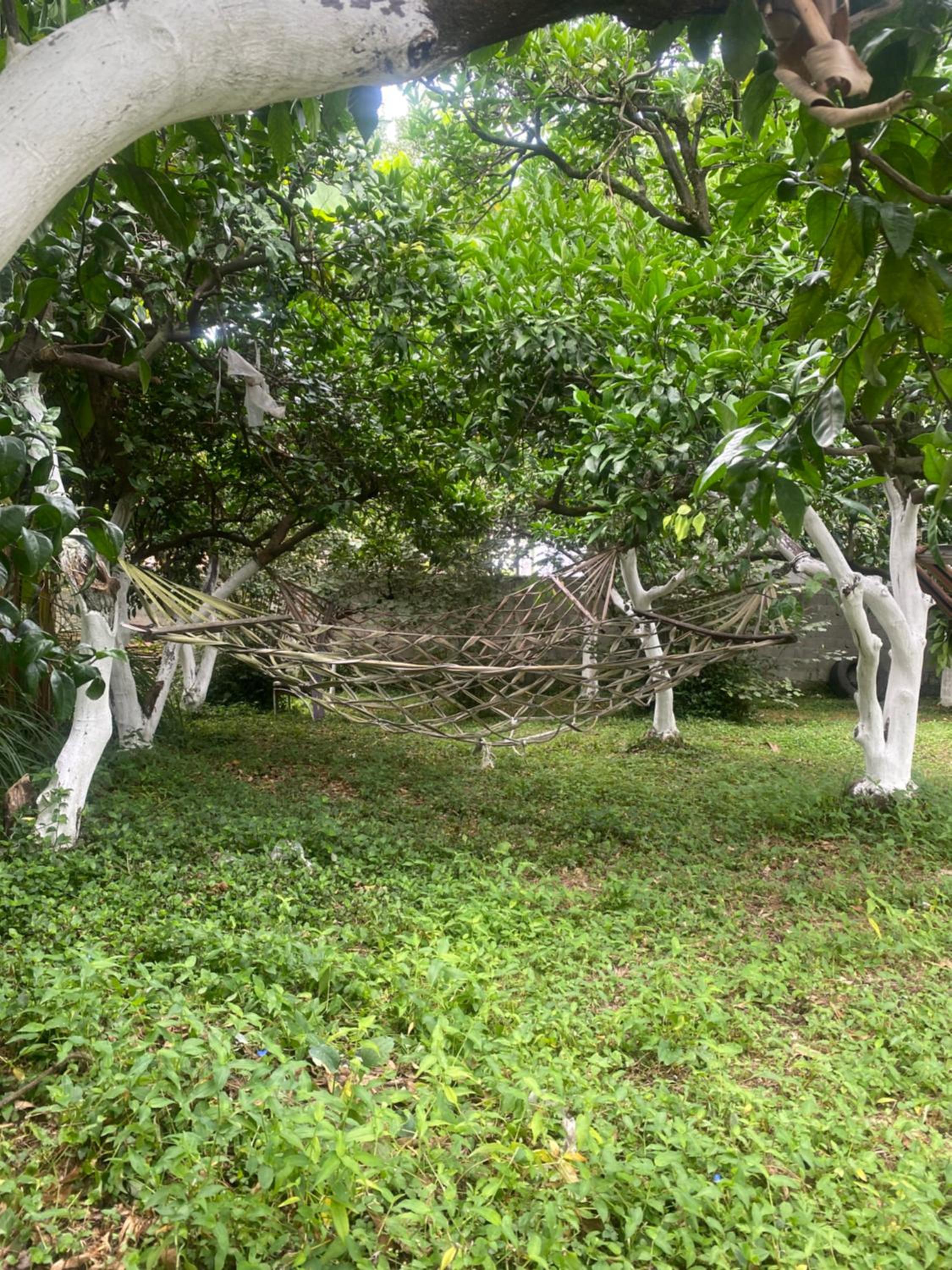 Orion Palace