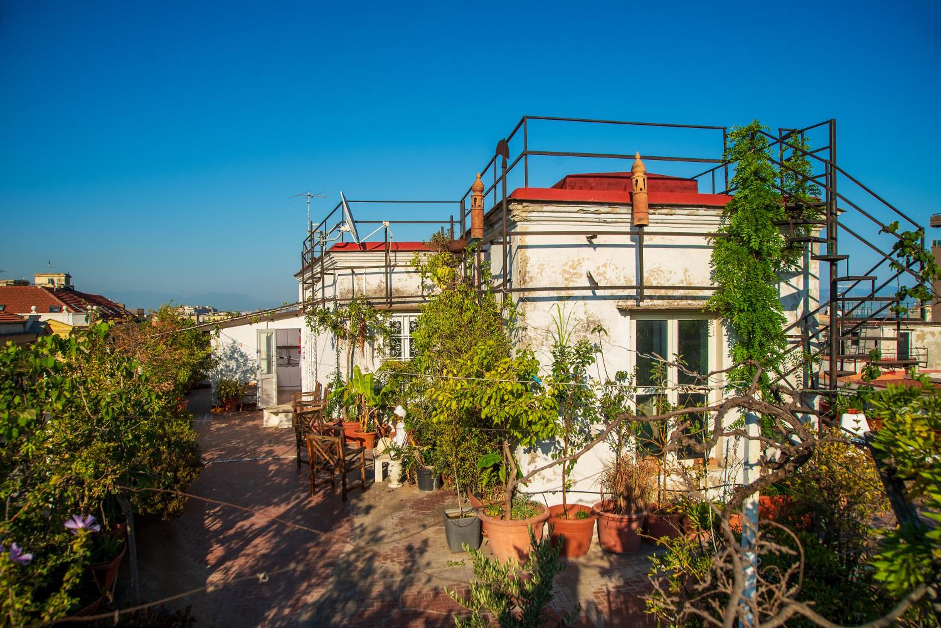 roof
