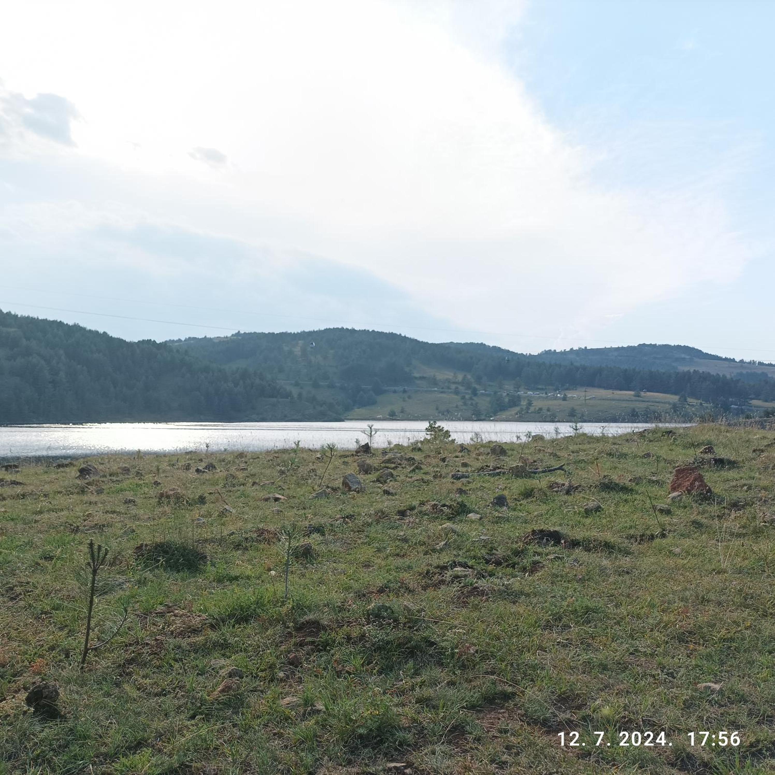 Photo 46