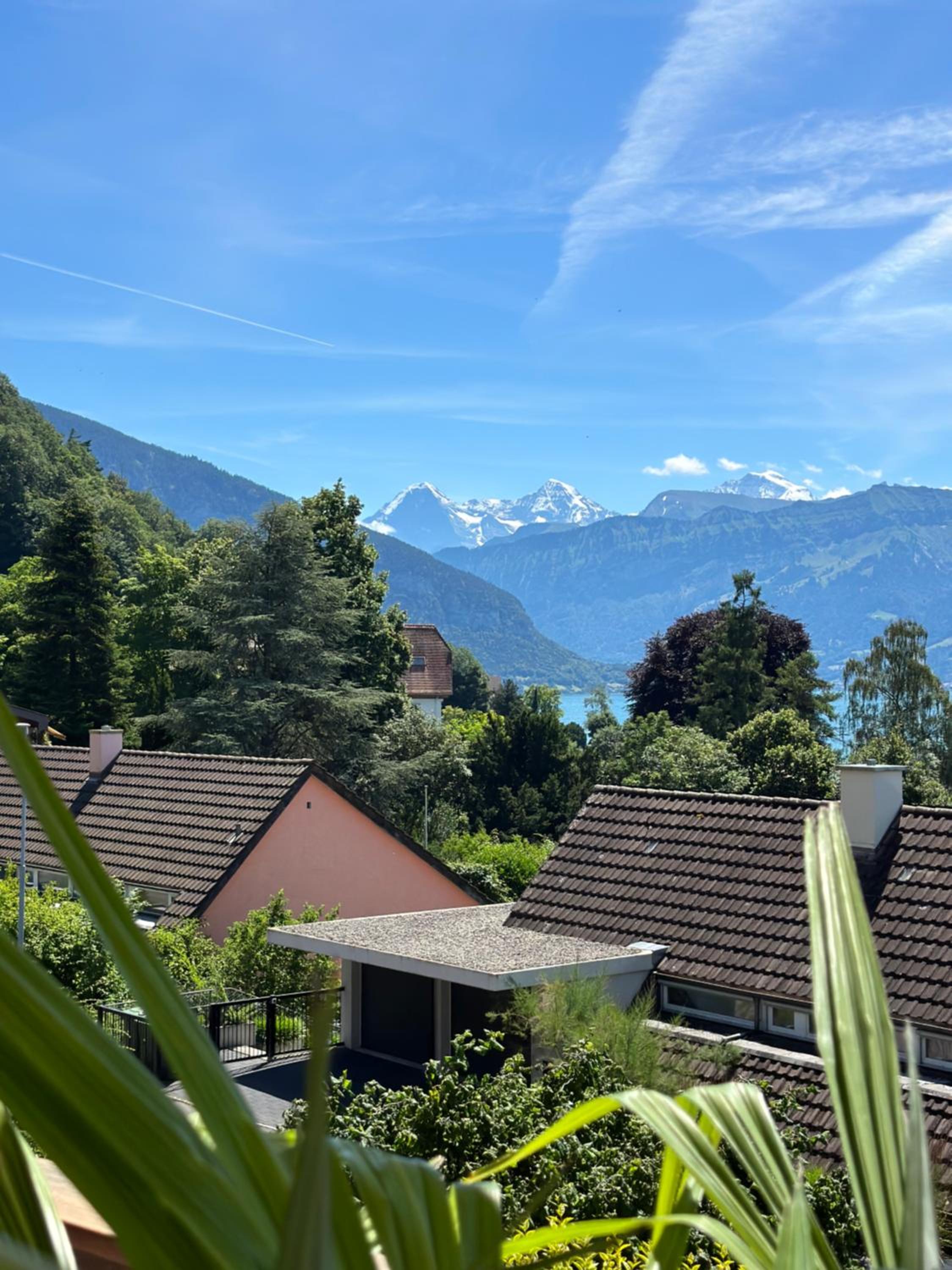 The Bluemlisalp, a private holiday flat with the lake of Thun view