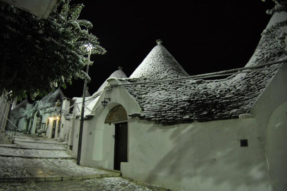 Photo 46
