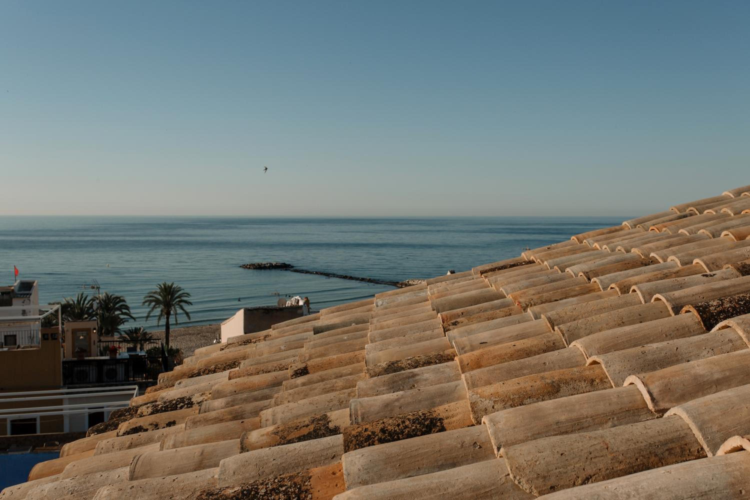 roof