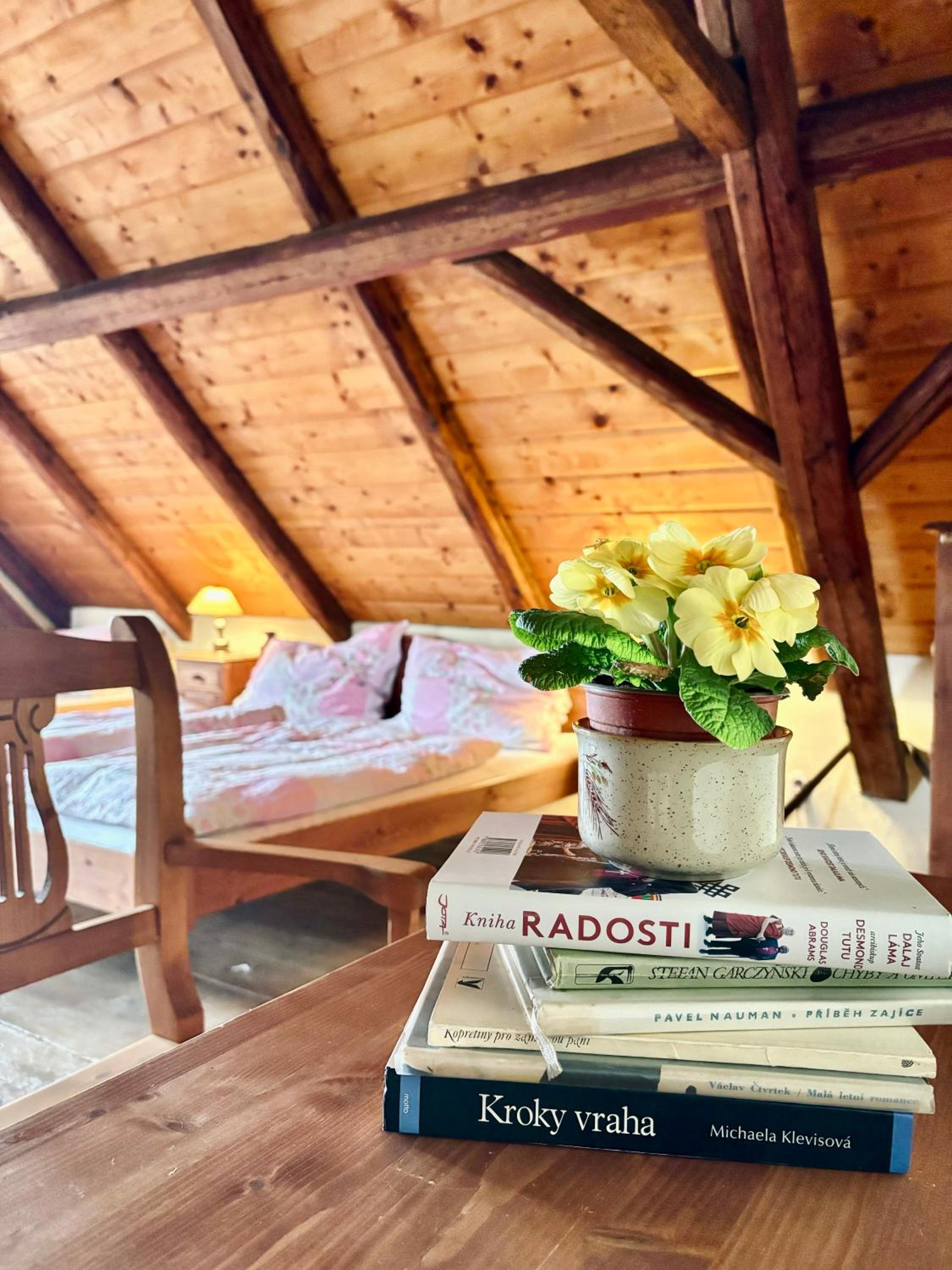 Apartmány Penzion Kateřina