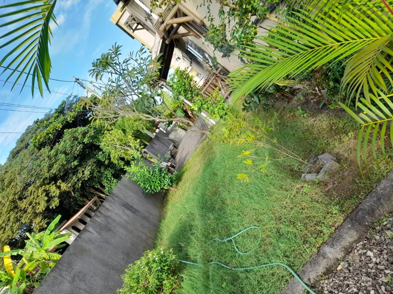 Citrus Villa view 3