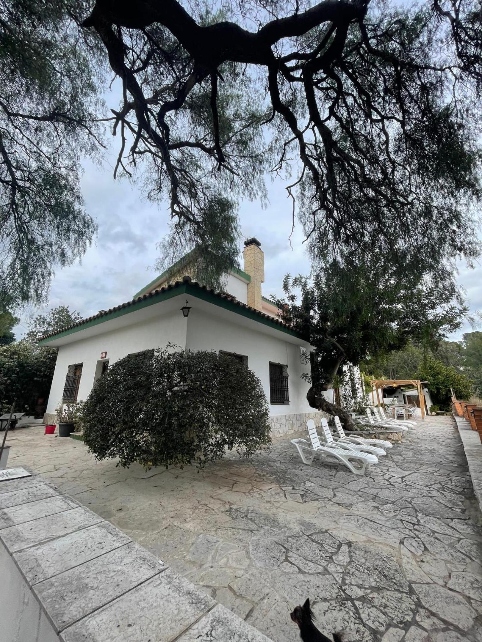 Photo 29