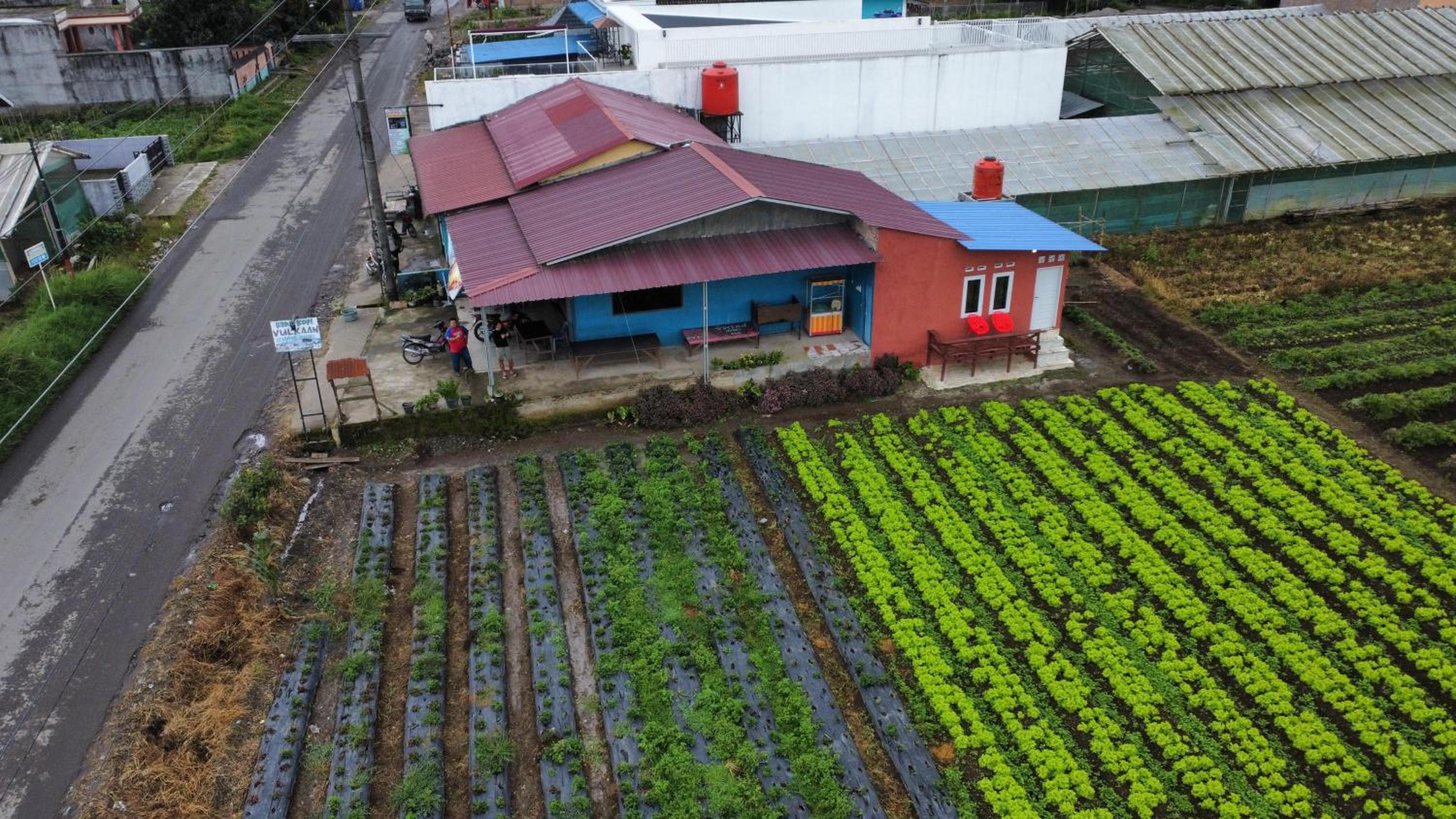 Vulkaan Homestay