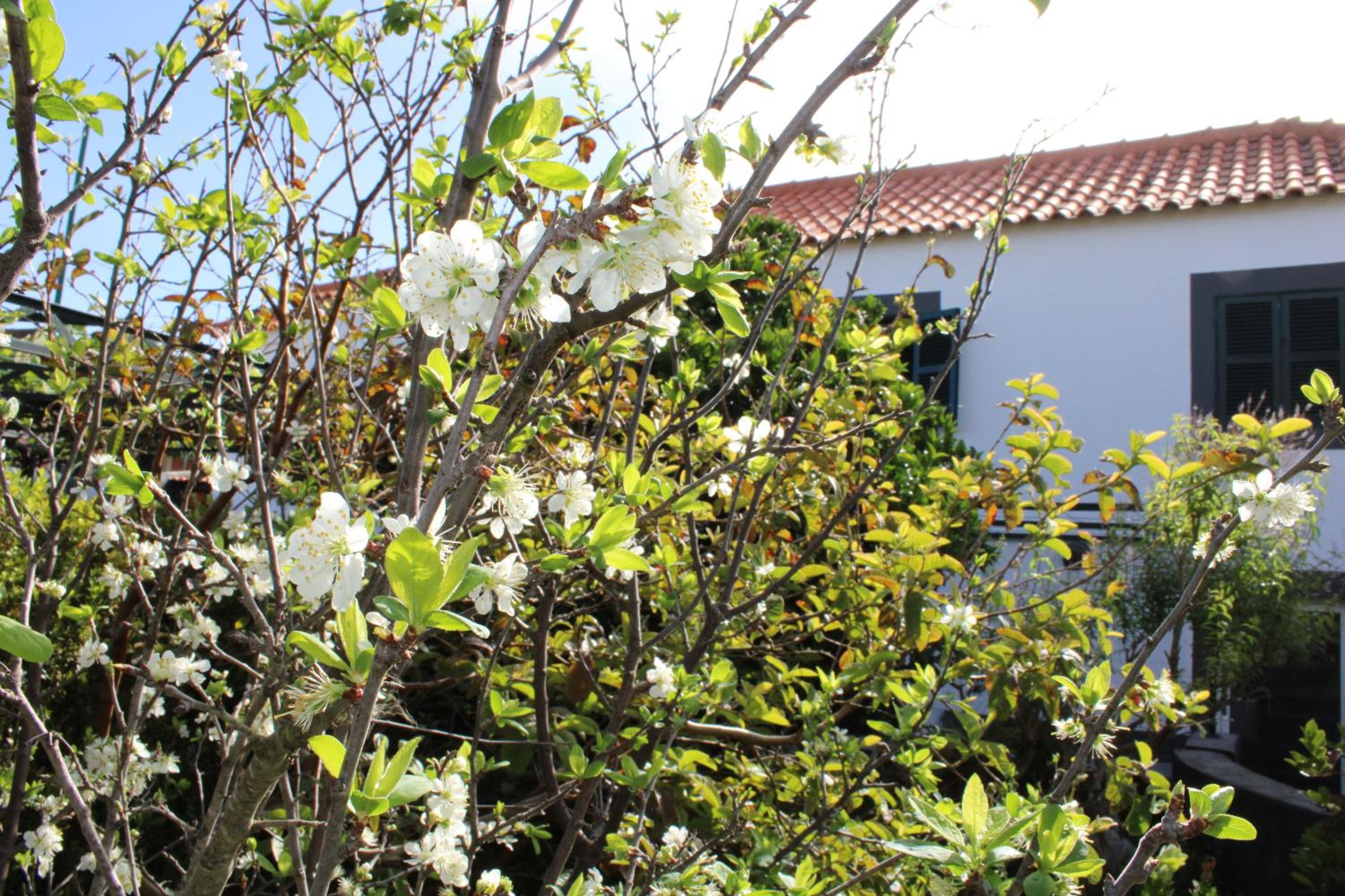 Casa da Ponta