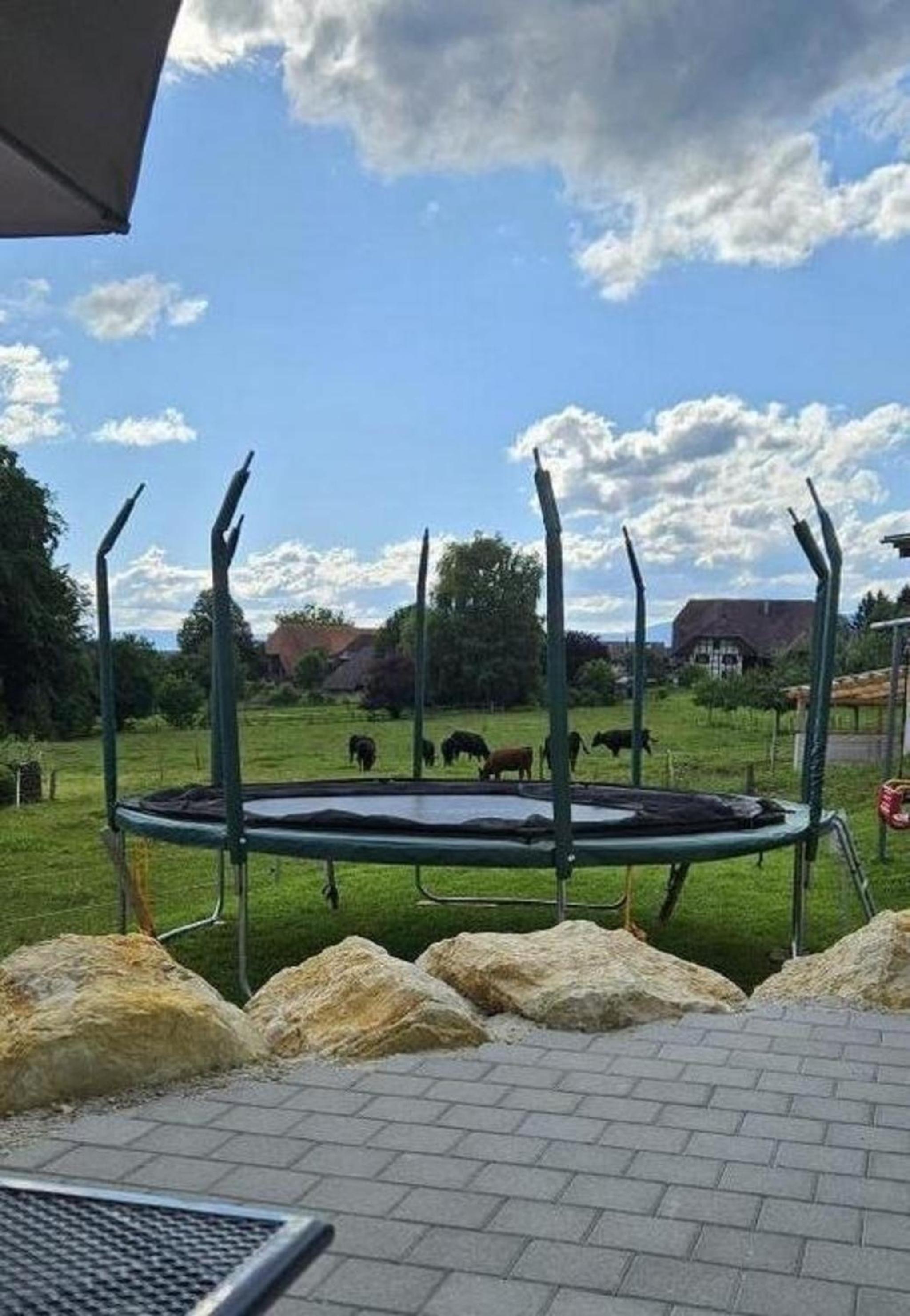 Leinacherhof - Ferienwohnung für 2 Erwachsene und 3 Kinder