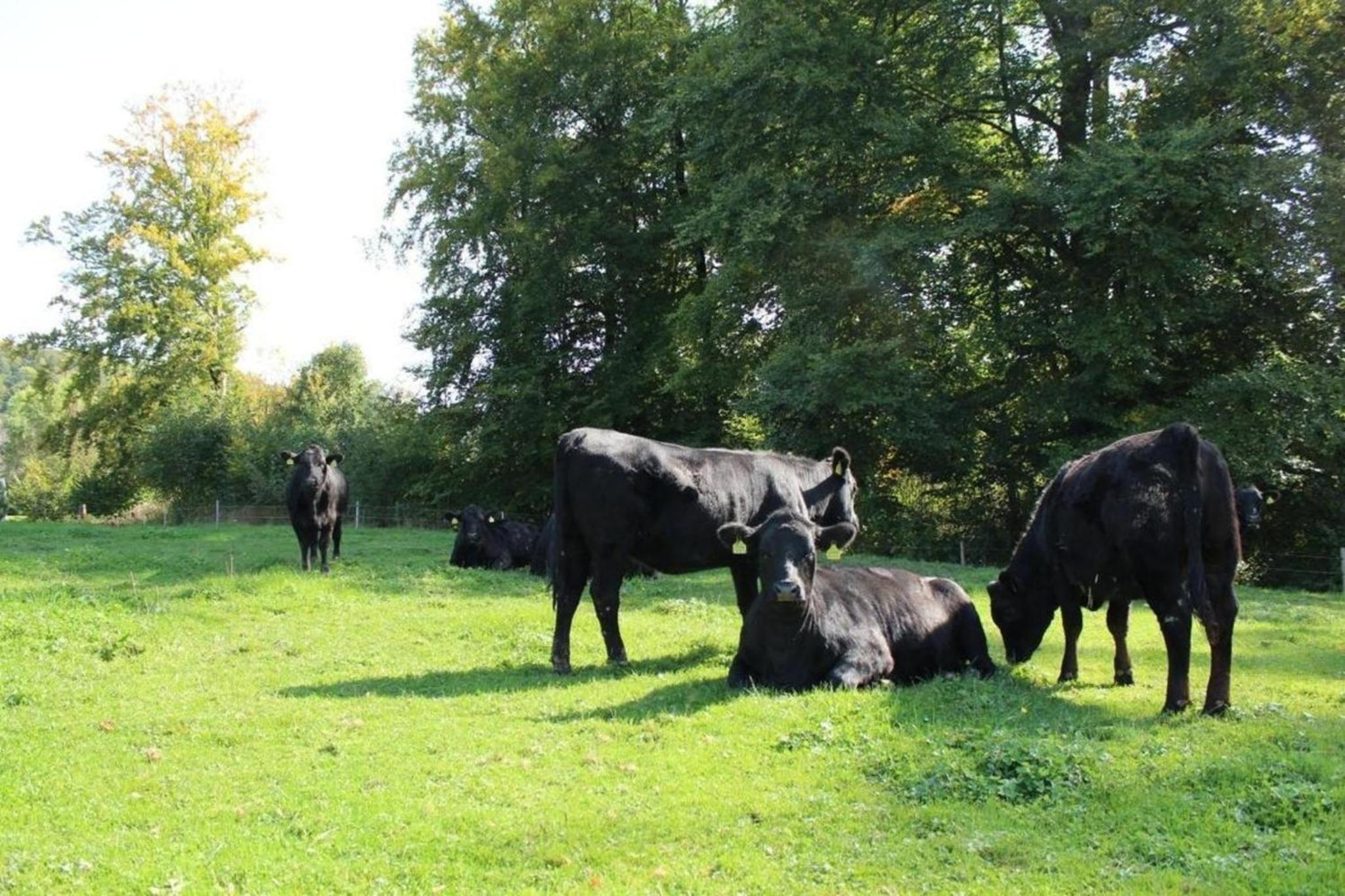 Leinacherhof - Ferienwohnung für 2 Erwachsene und 3 Kinder