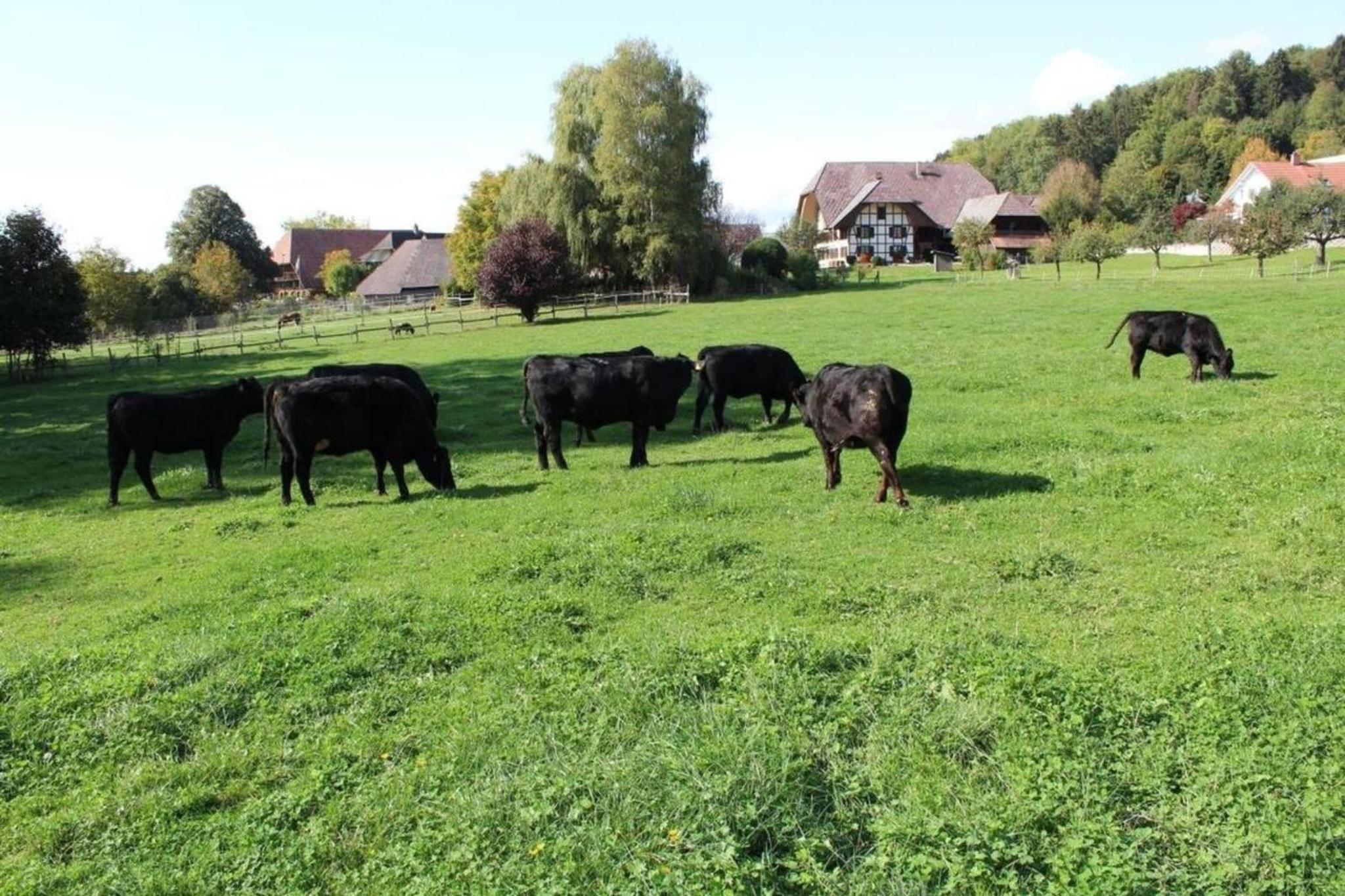 Leinacherhof - Ferienwohnung für 2 Erwachsene und 3 Kinder