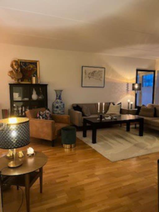 Leilighet midt i Sentrum