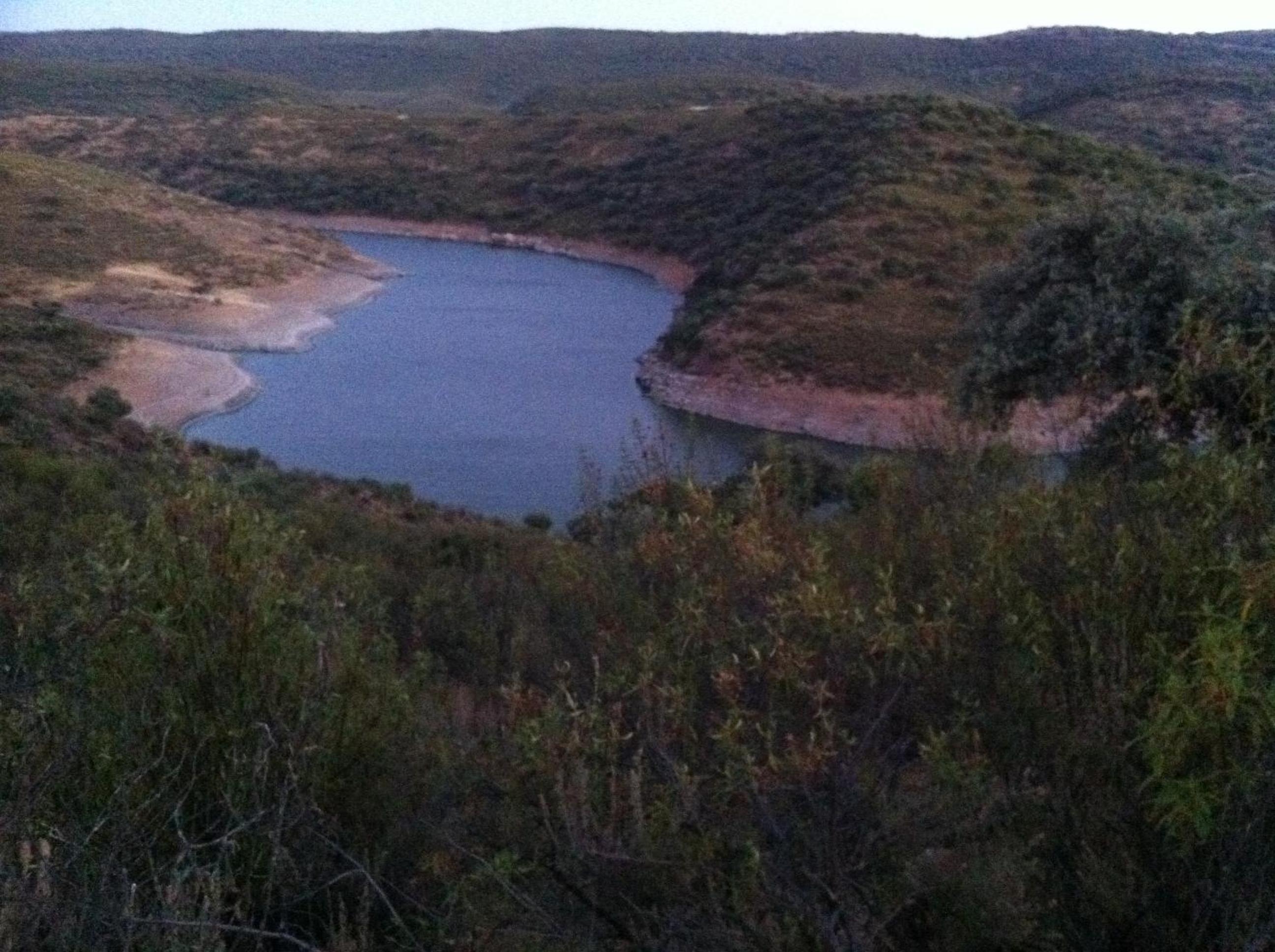 Photo 25