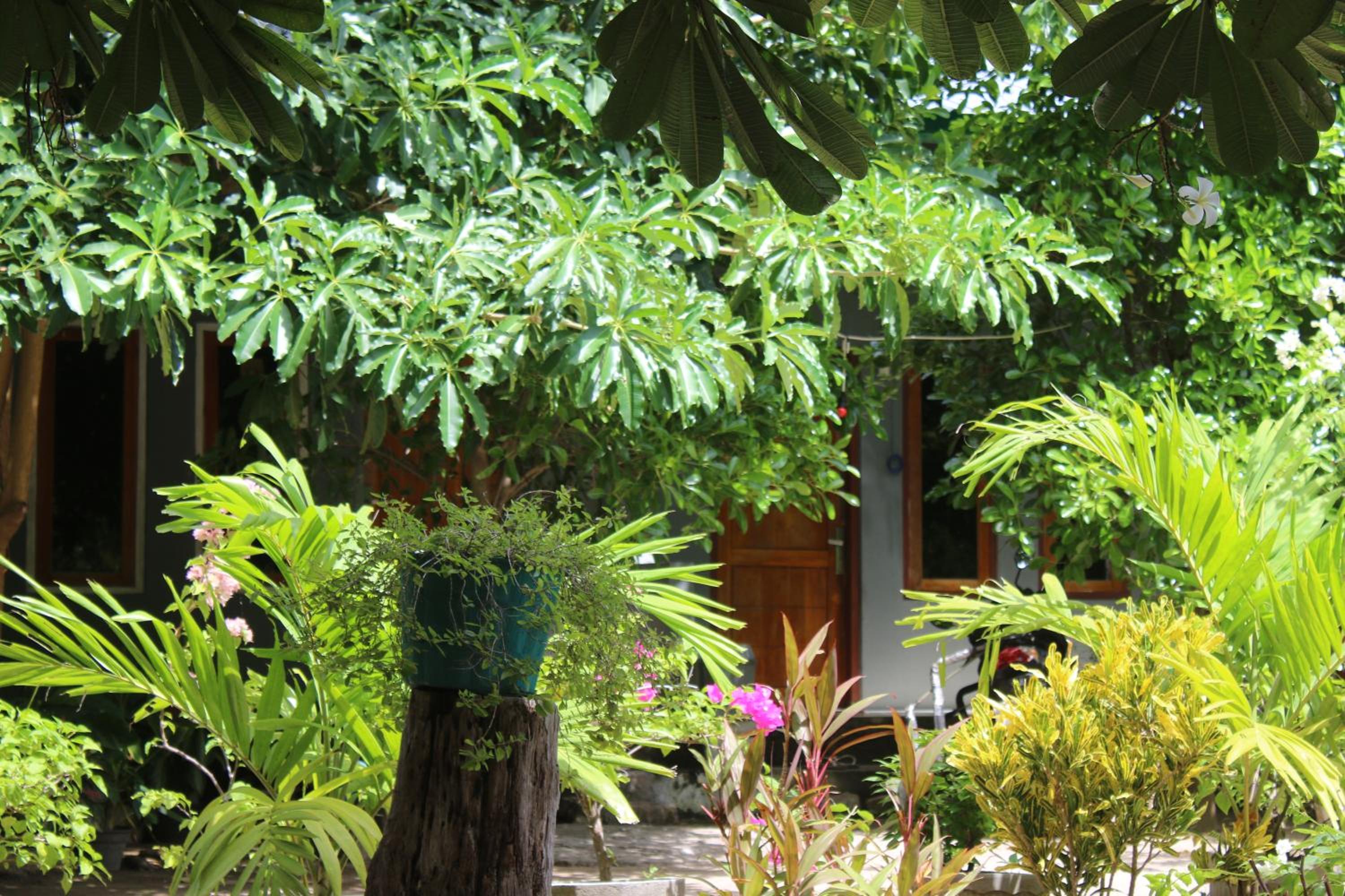 Balo Surf House