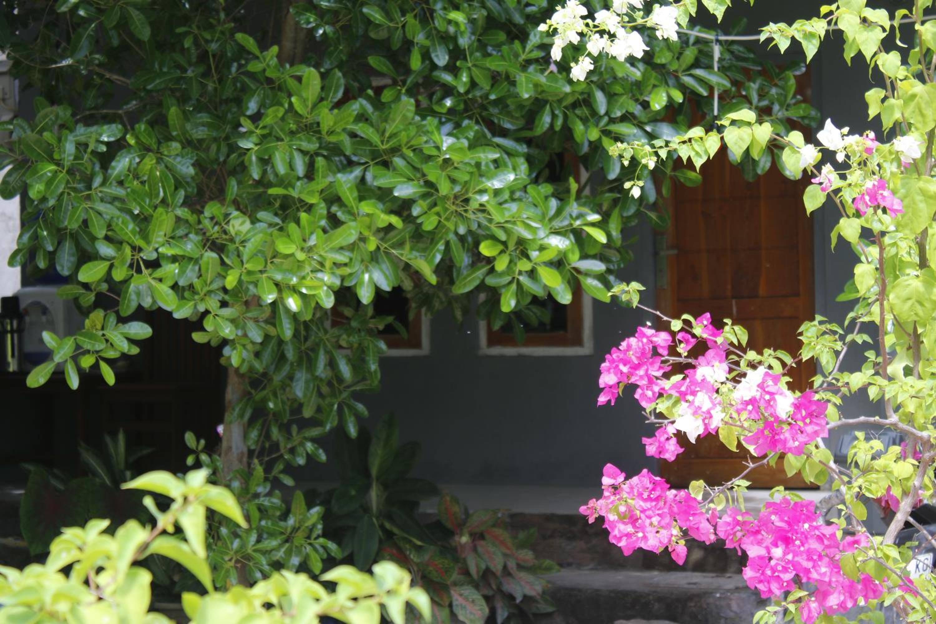 Balo Surf House