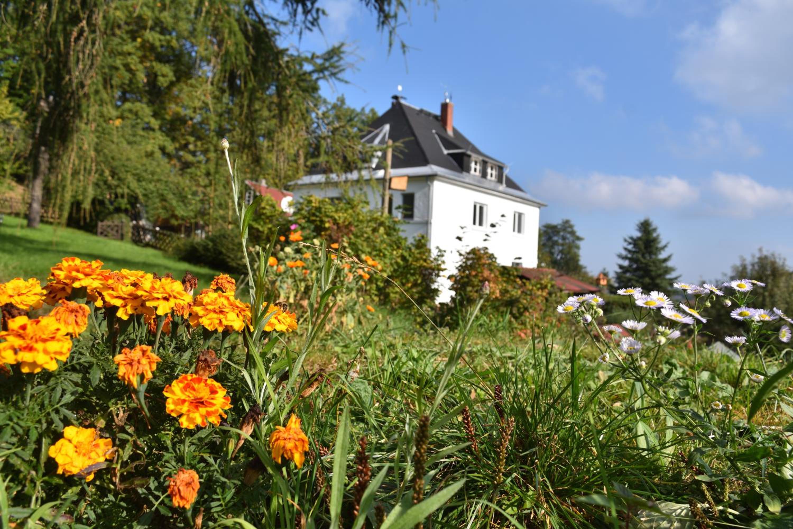 Ferienwohnung Erzgebirgswohnung Götze