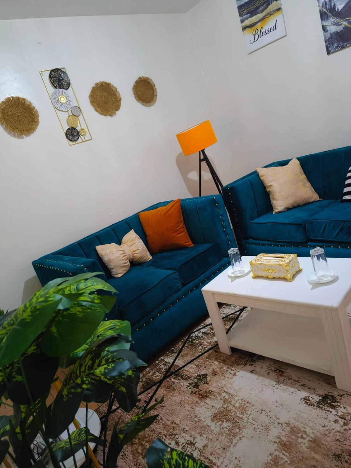 Lavish 1 bedroom apartments in TRM Thika road view 5