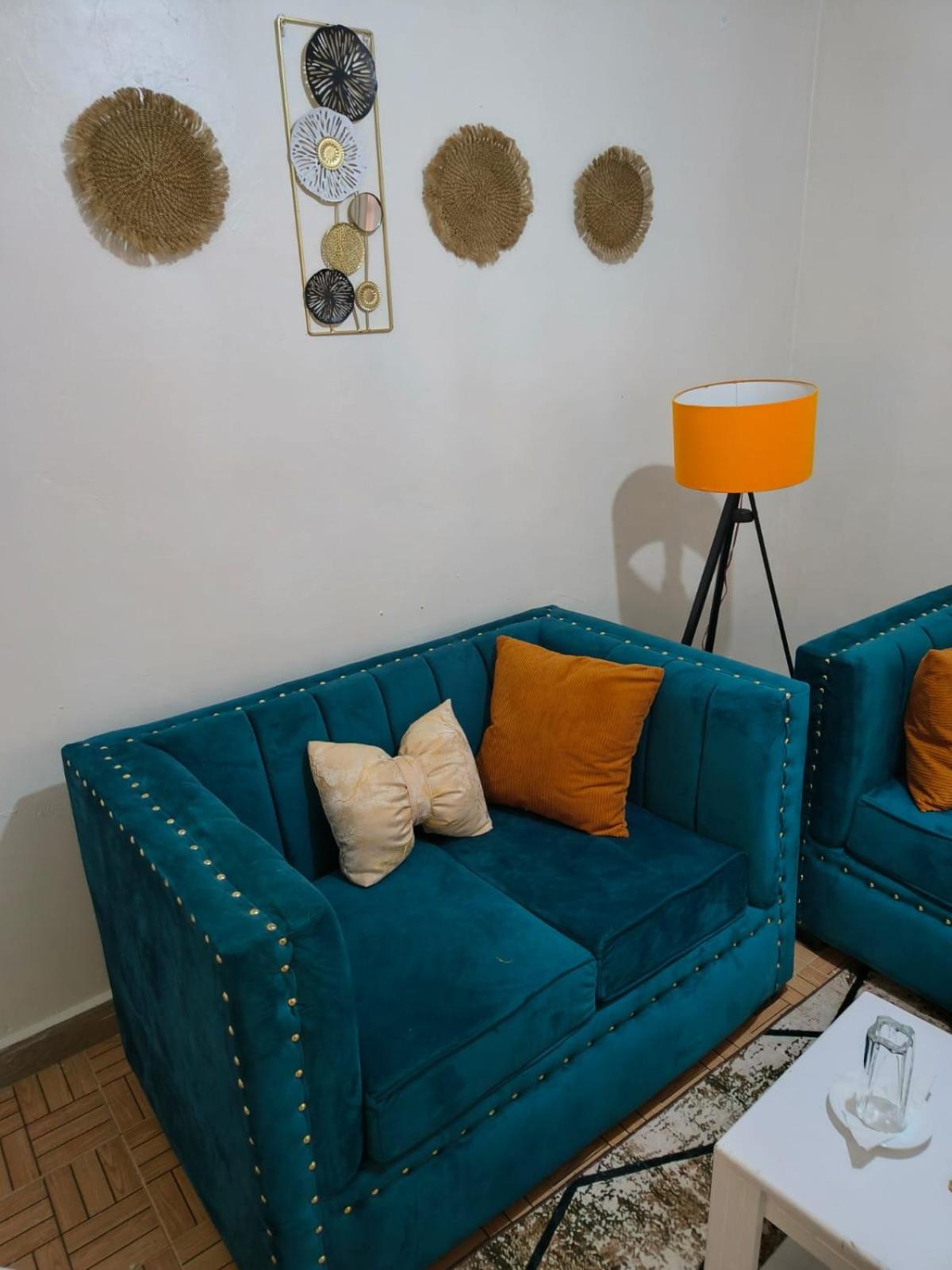 Lavish 1 bedroom apartments in TRM Thika road view 2