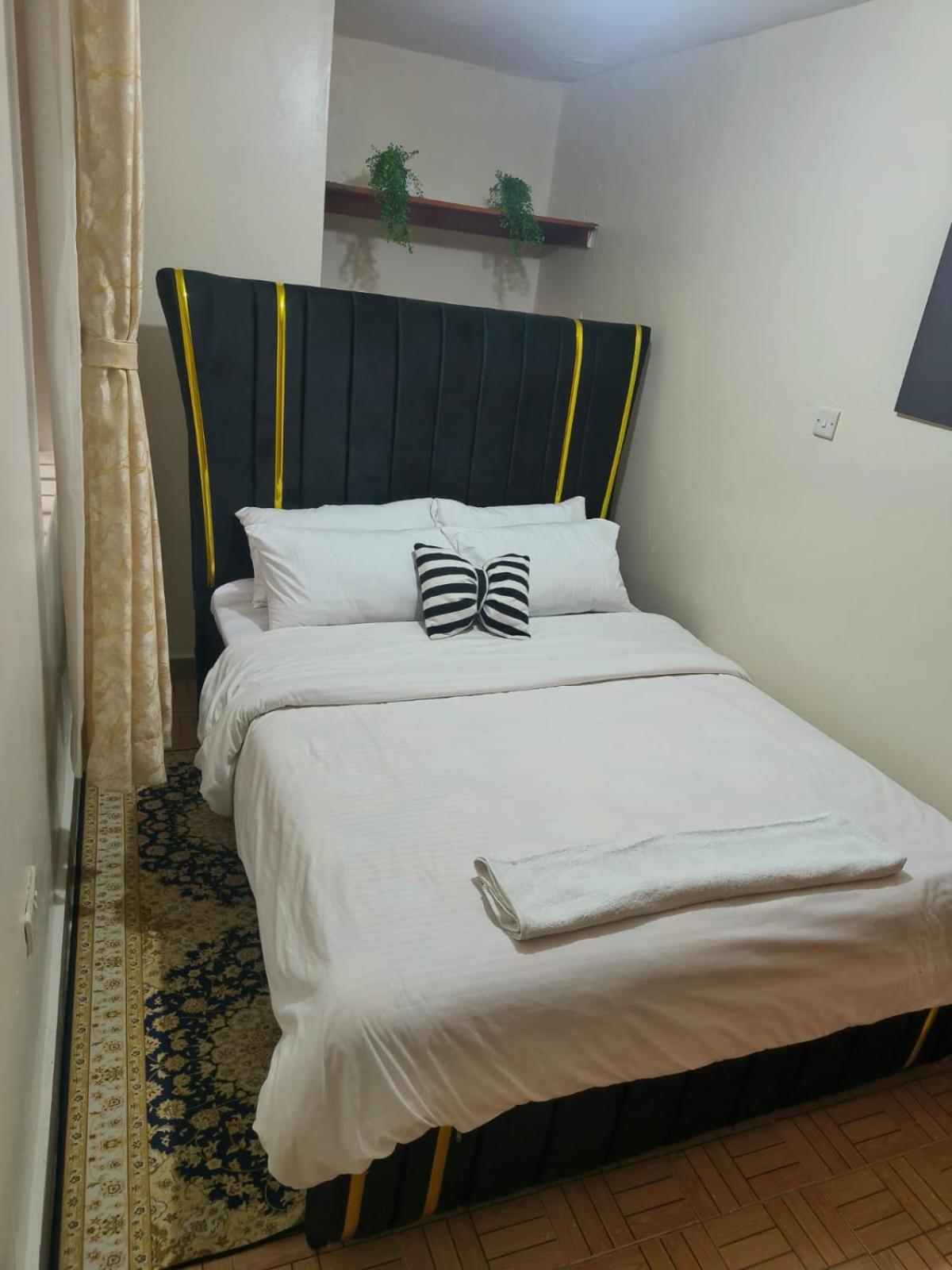 Lavish 1 bedroom apartments in TRM Thika road view 4