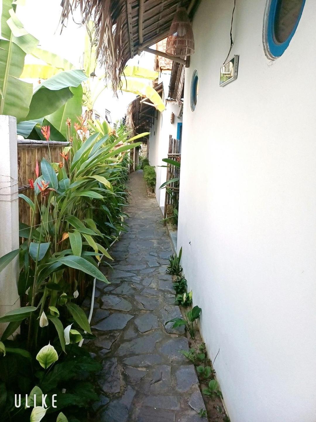 Cashew Tree Bungalow
