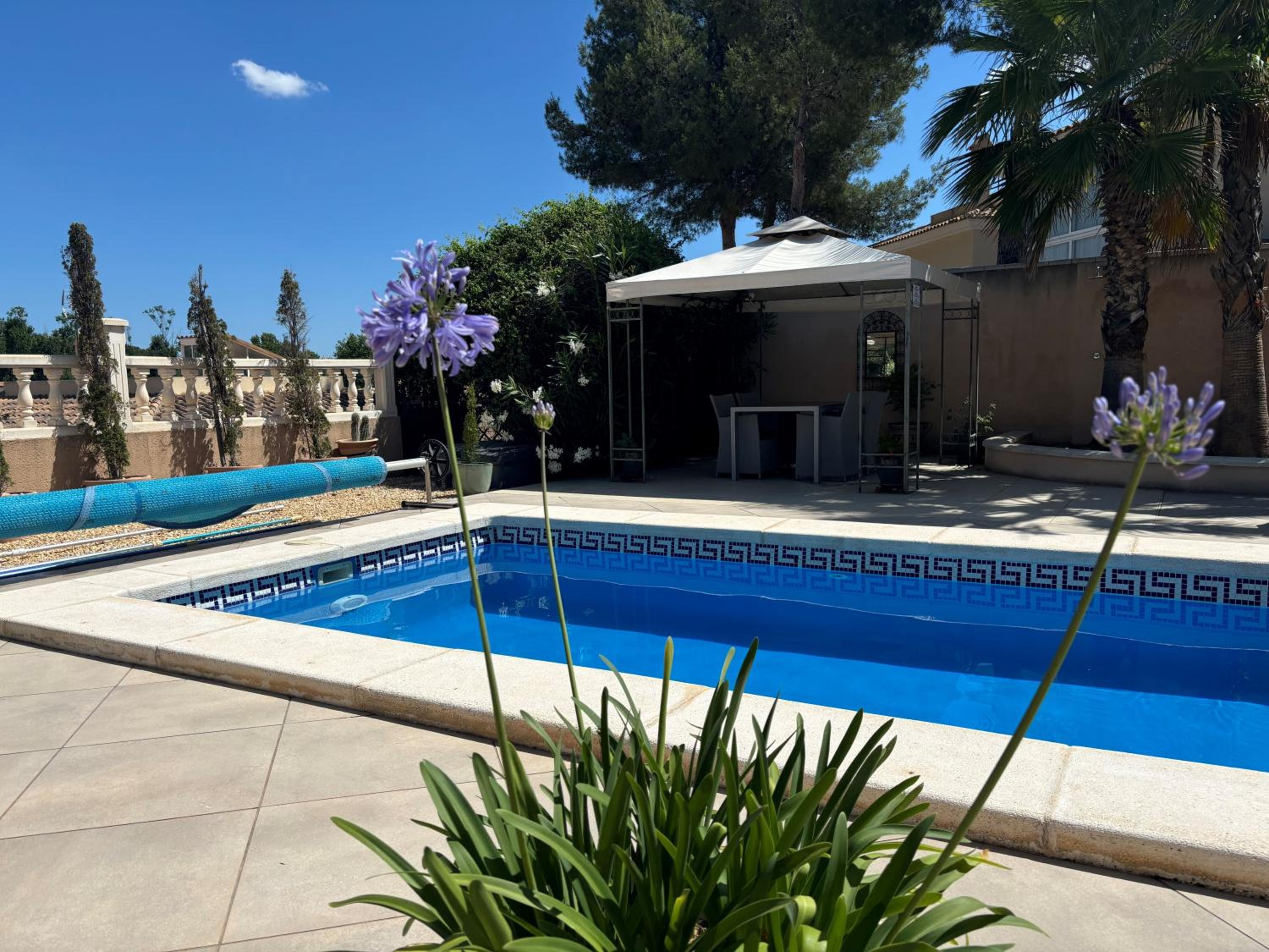 Pinada del Rio Villa, Alicante view 4