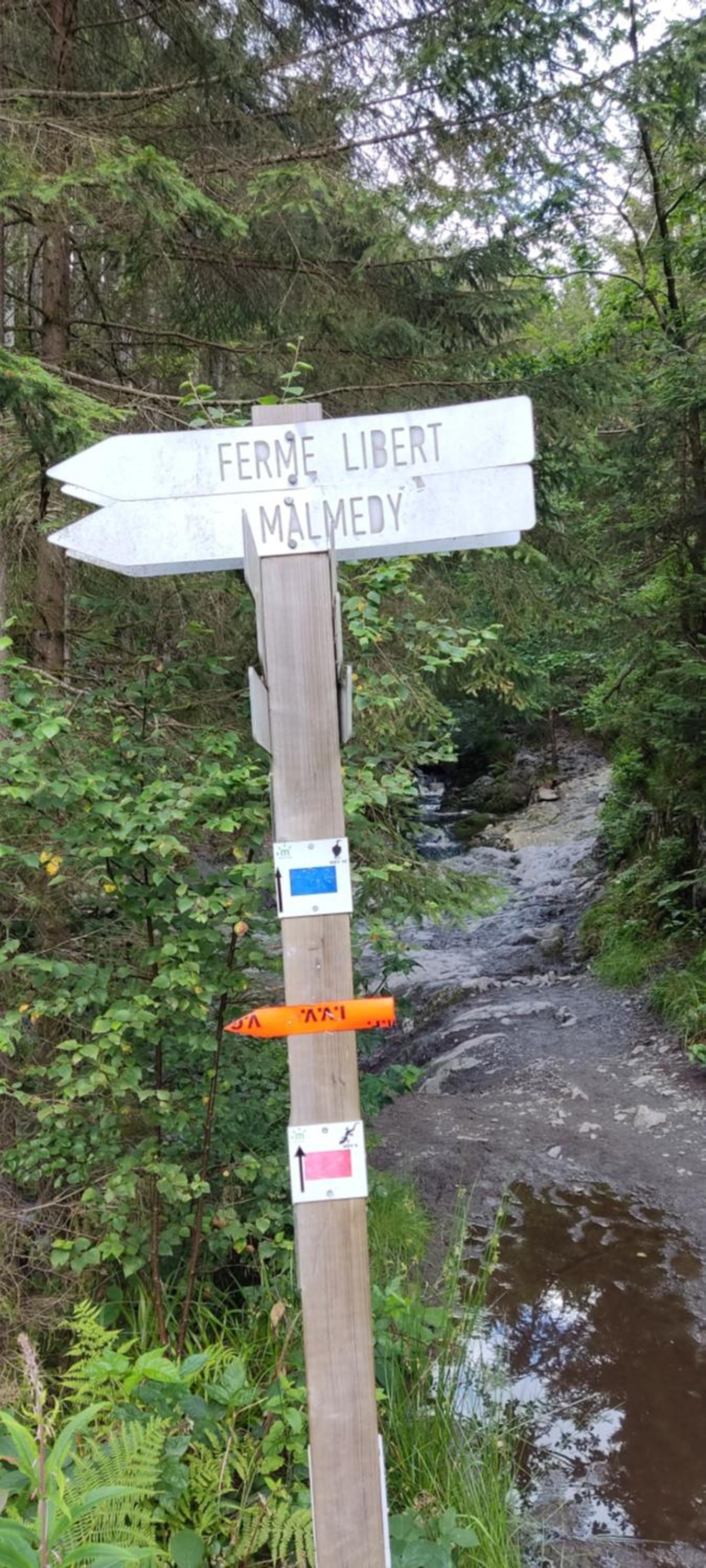 Au coin de la cascade
