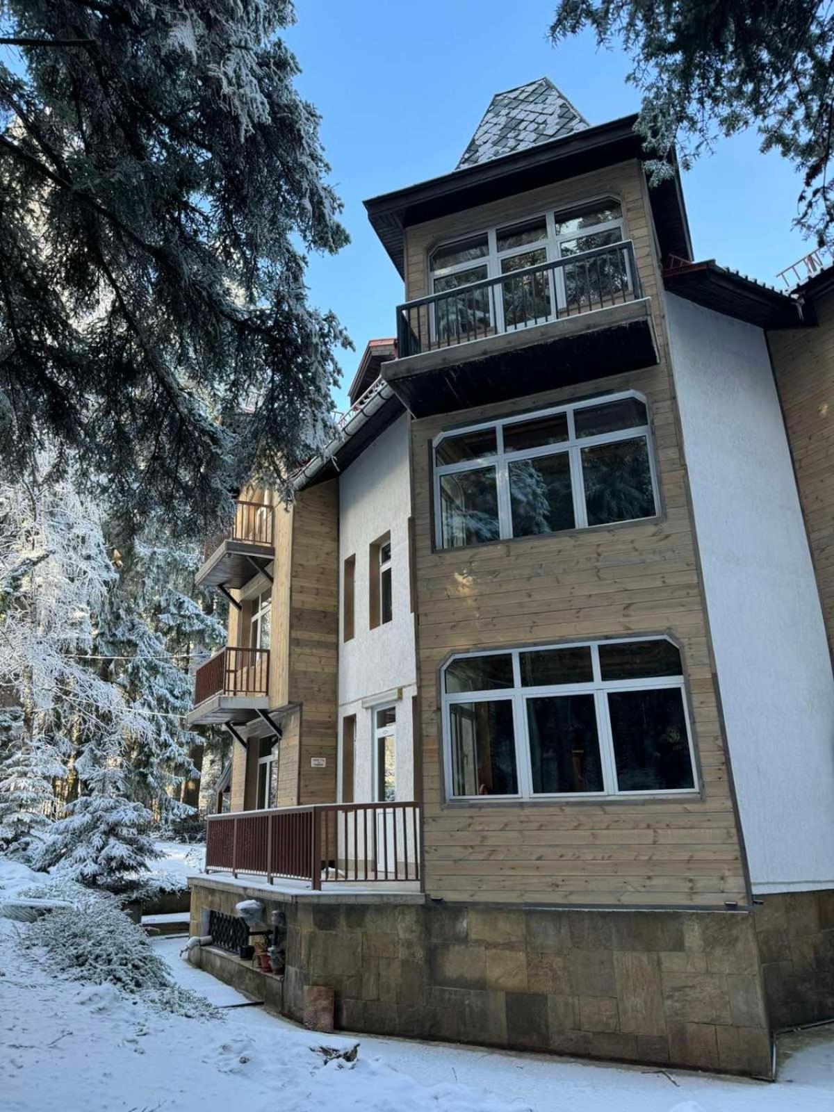 The Forest Villa Borovets by BookVillaBG