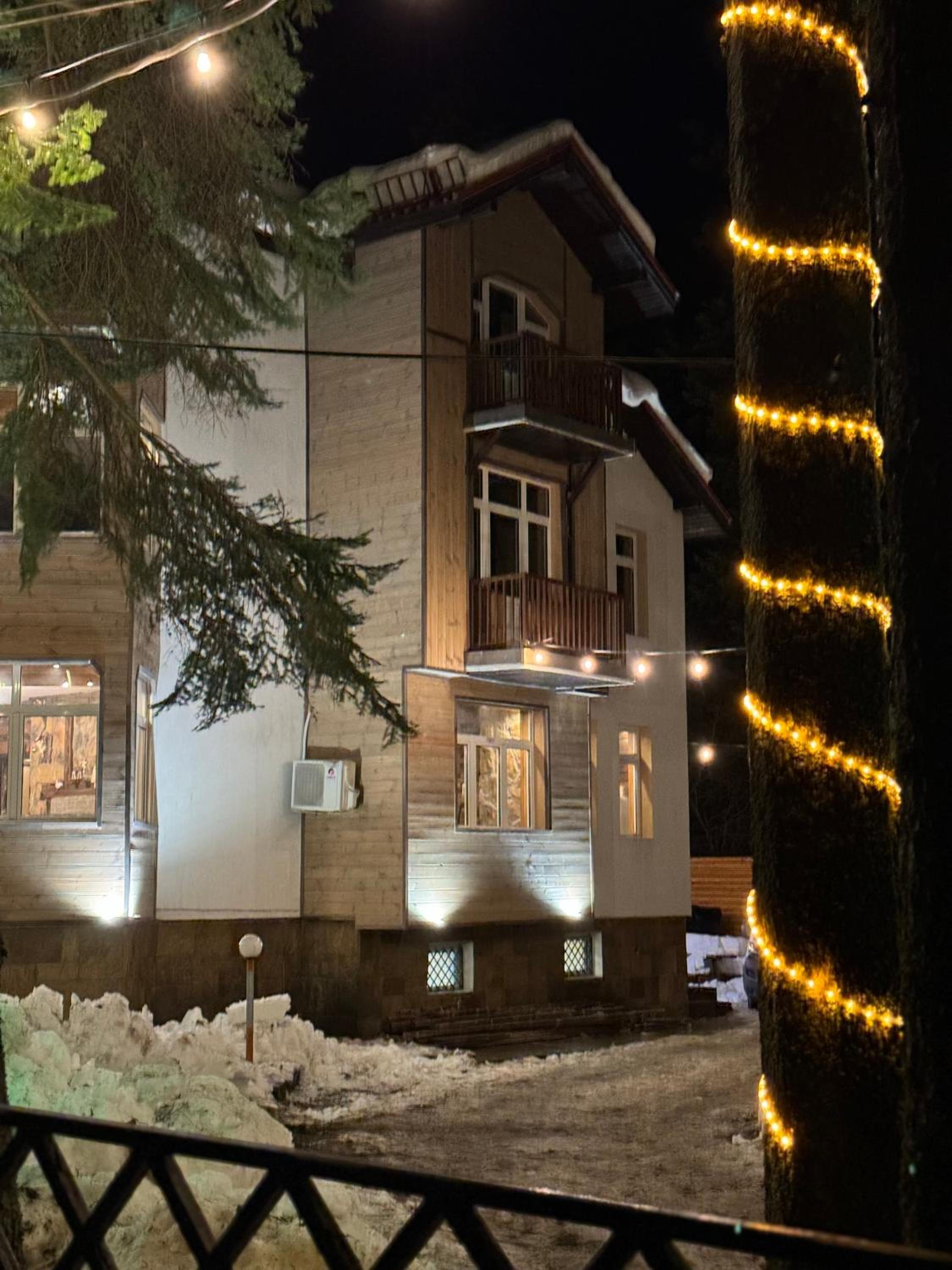 The Forest Villa Borovets by BookVillaBG