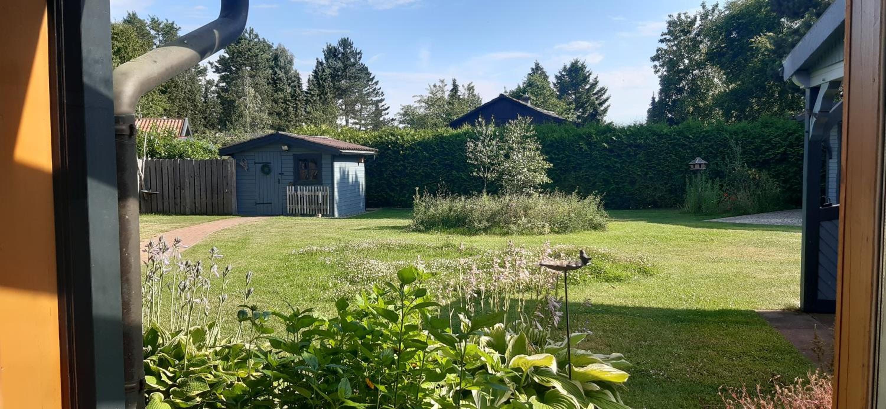 Ferienhaus Drei Birken