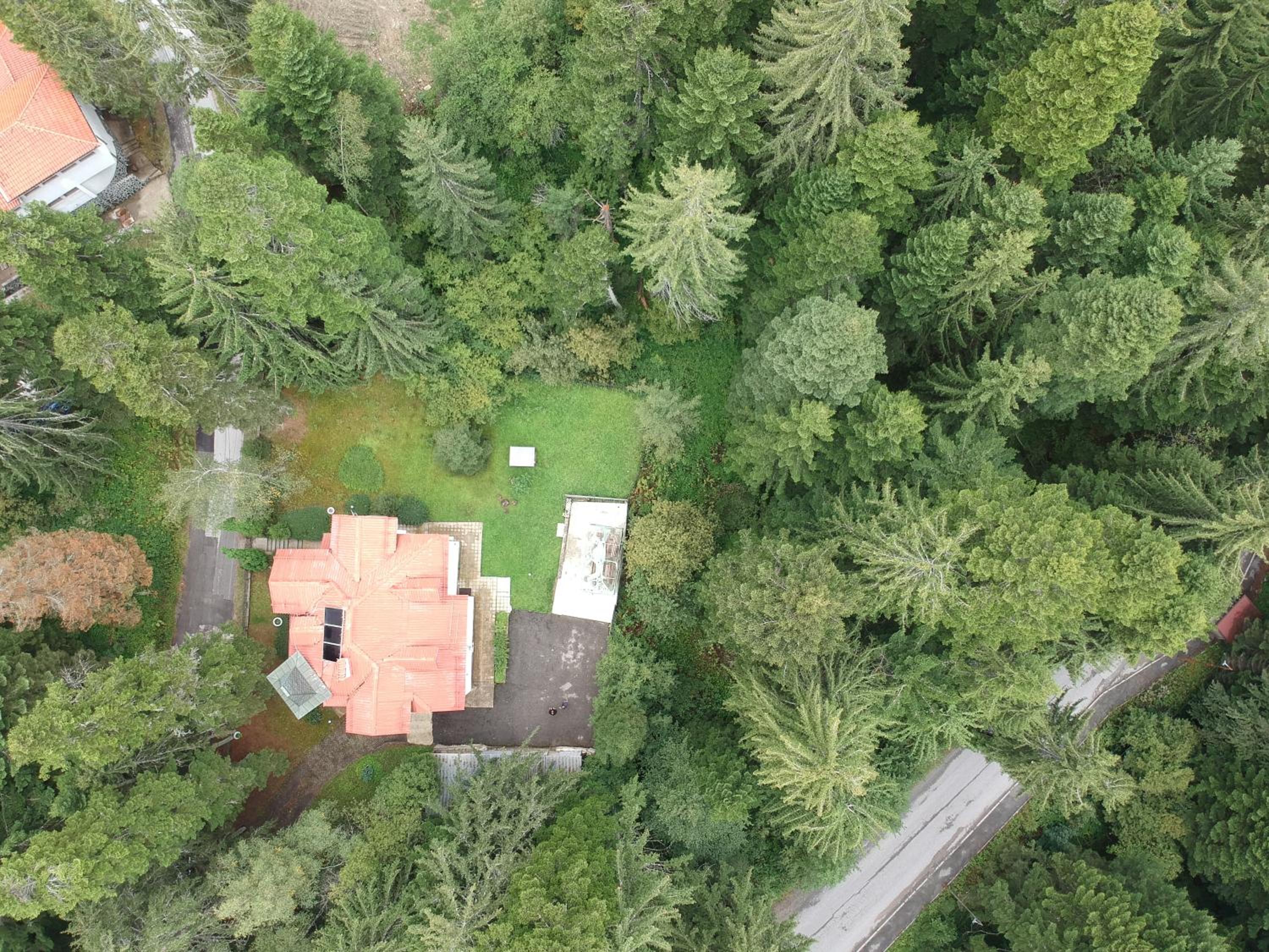 The Forest Villa Borovets by BookVillaBG