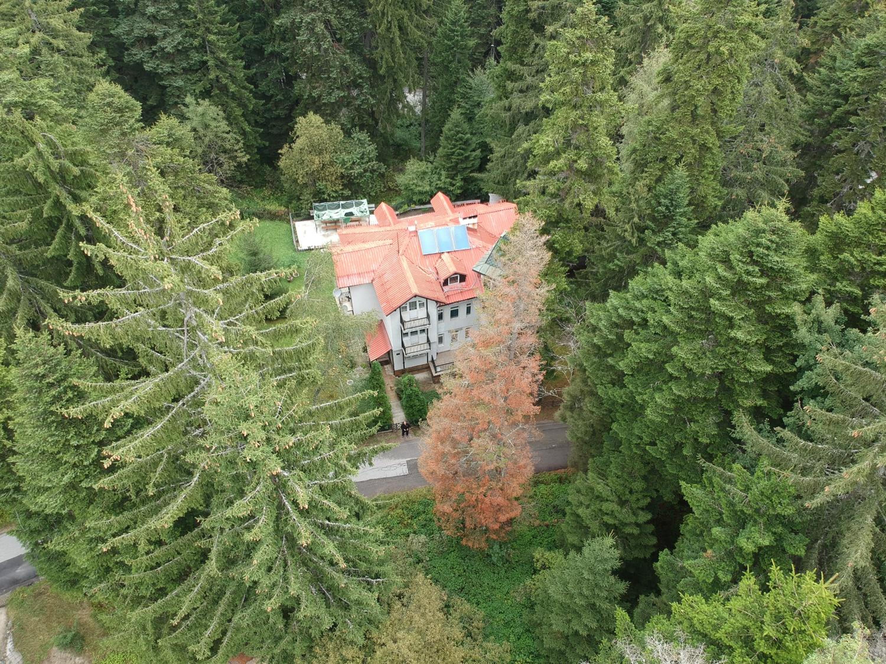 The Forest Villa Borovets by BookVillaBG