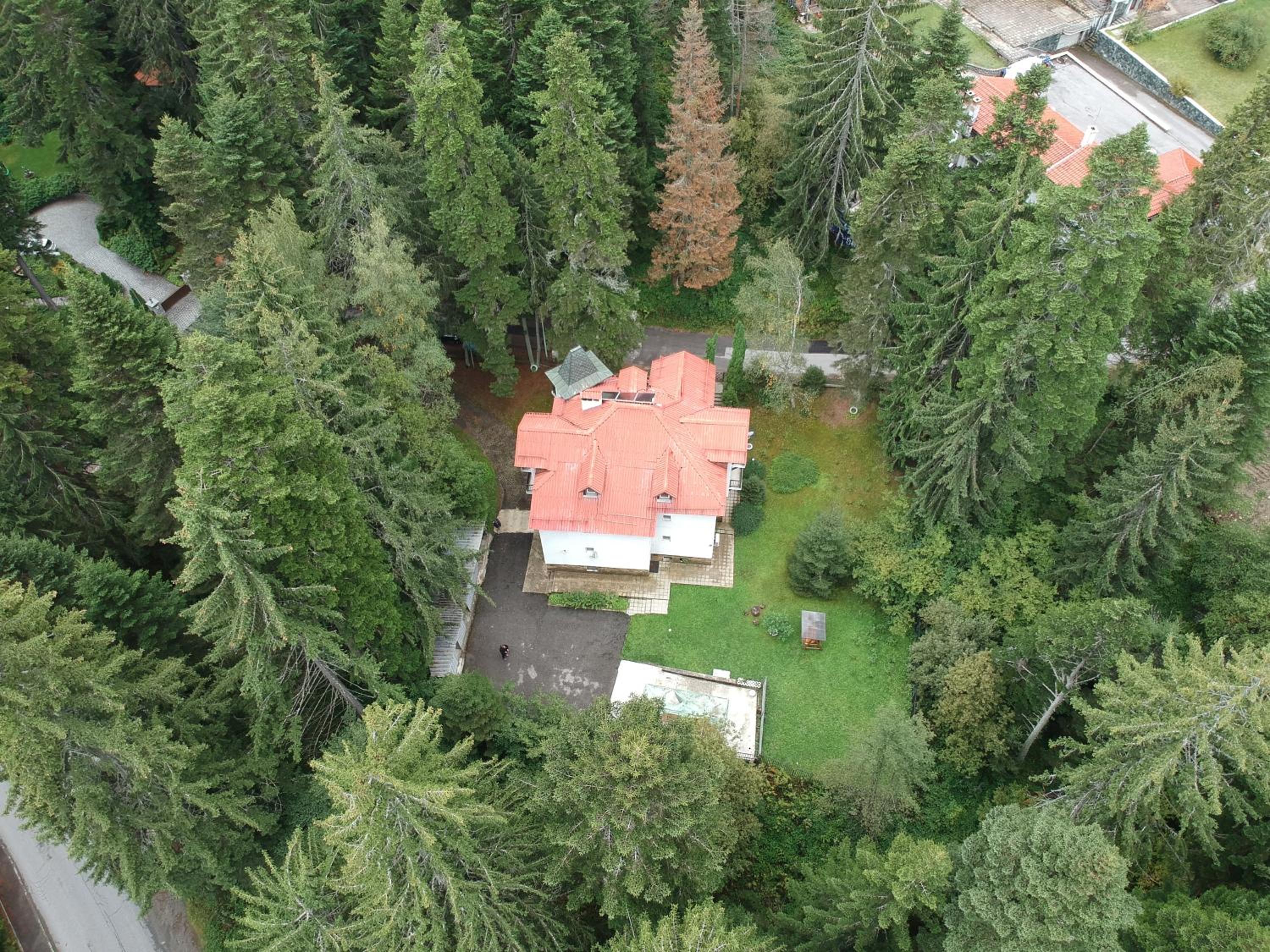 The Forest Villa Borovets by BookVillaBG