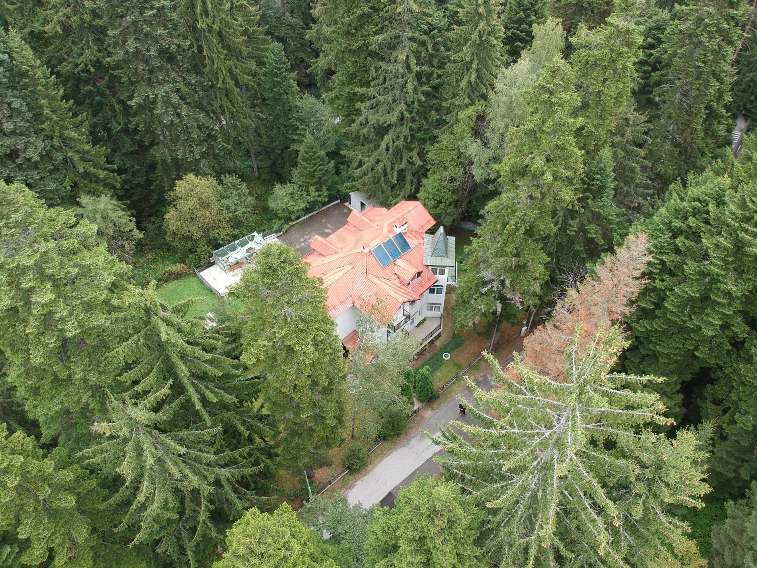 The Forest Villa Borovets by BookVillaBG