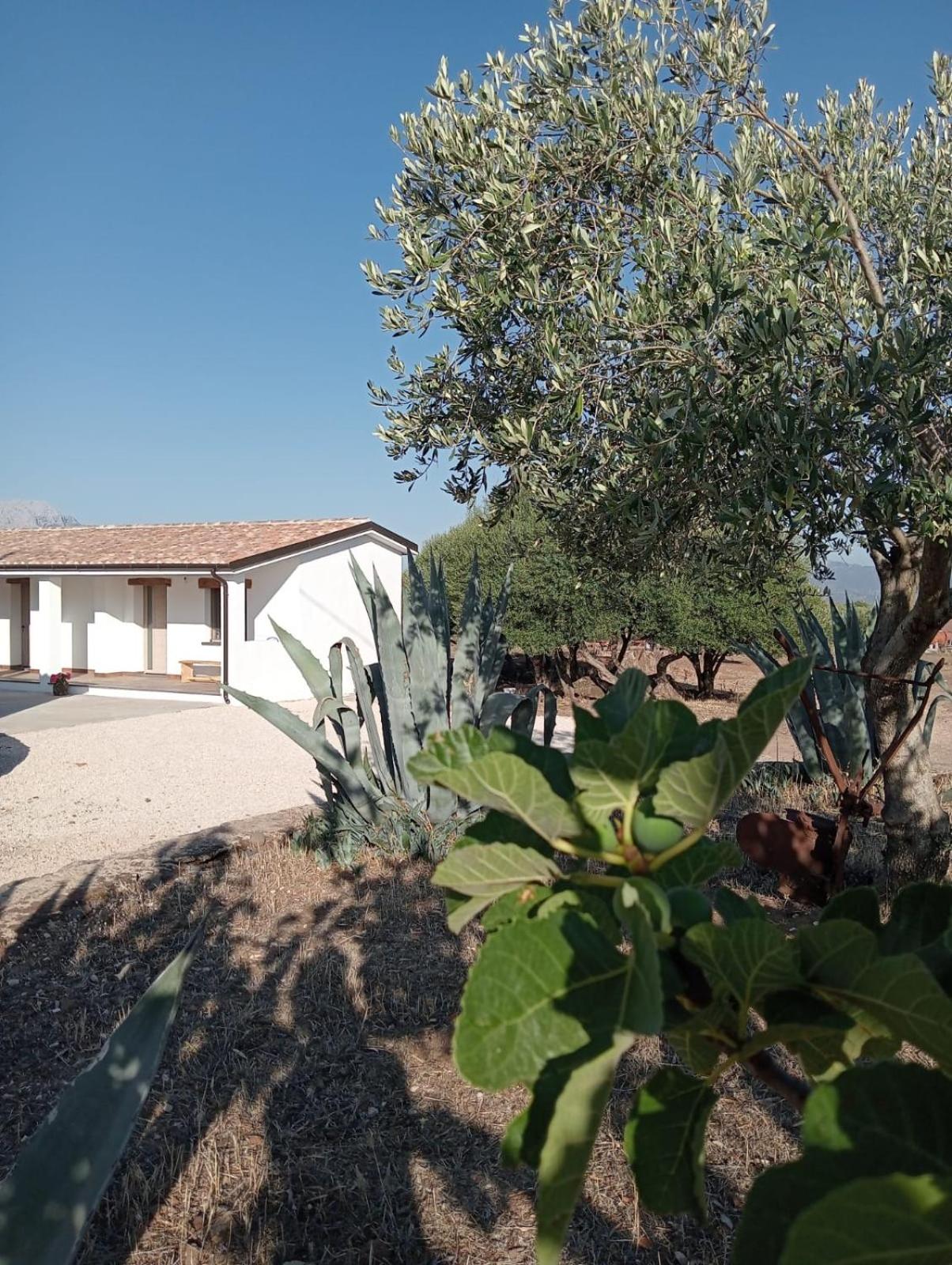 Agriturismo Sa Murta Dorgali