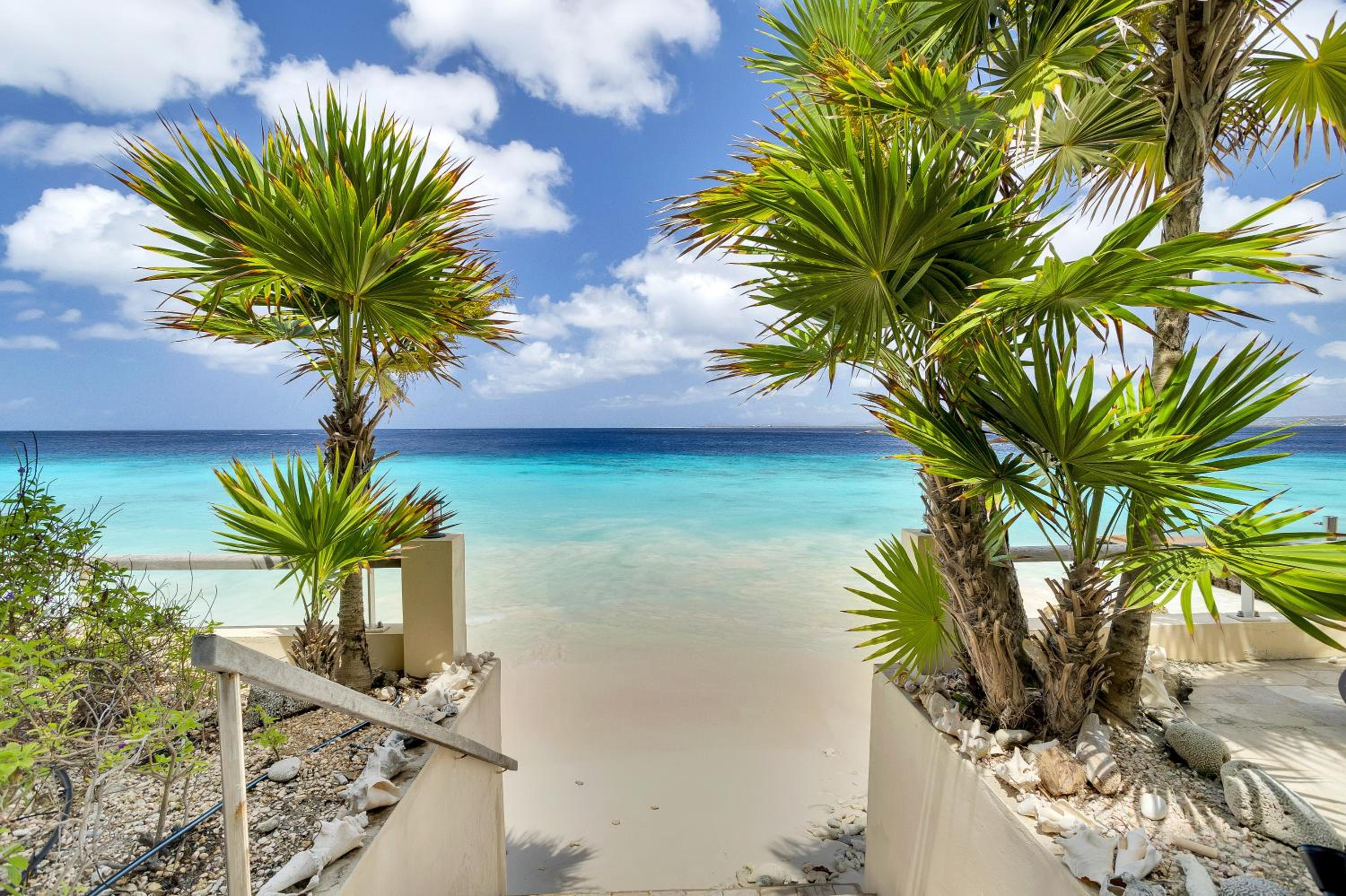 Bellevue Residence #7 - Oceanfront condo