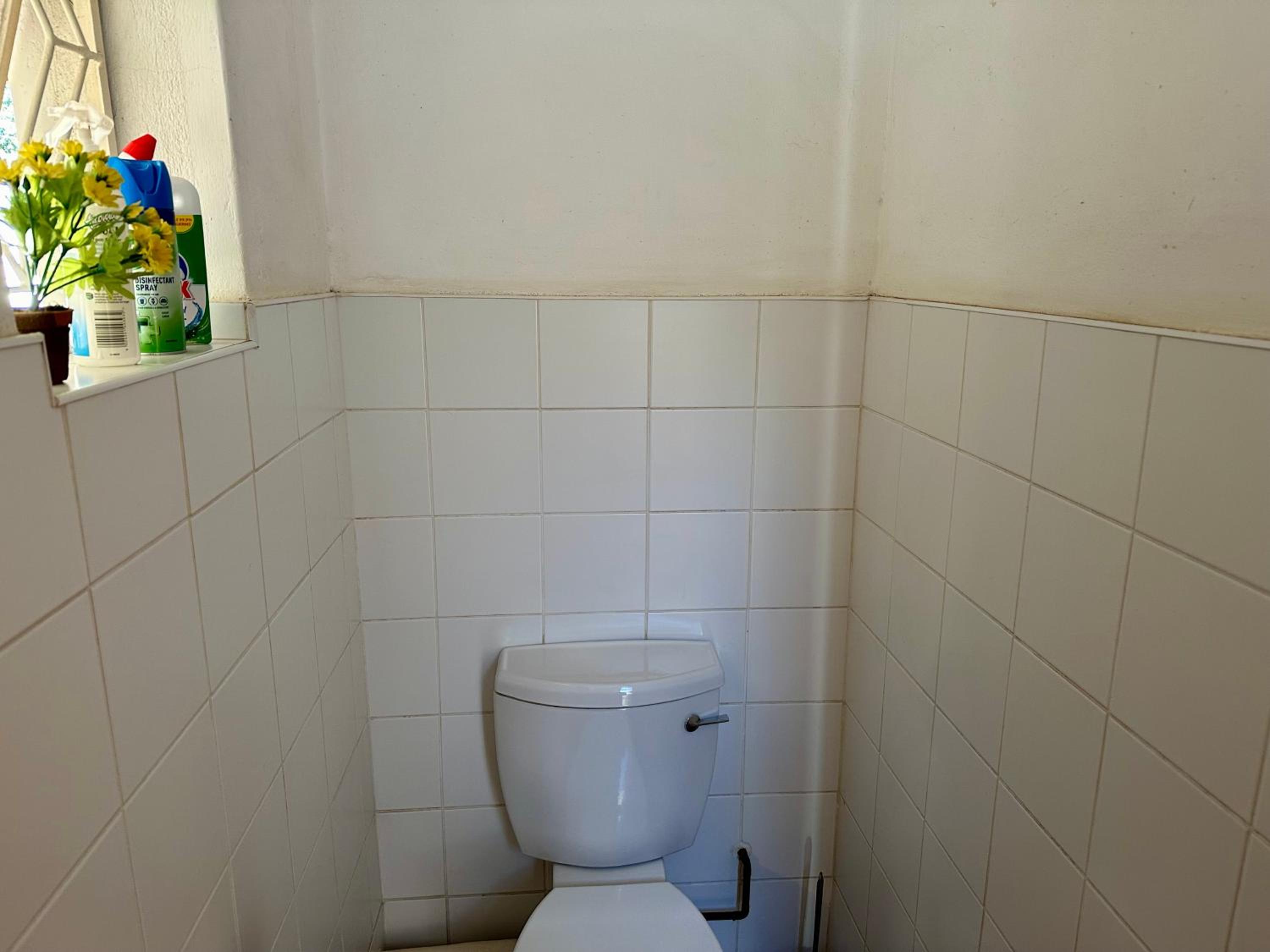 Gemini Bachelor House