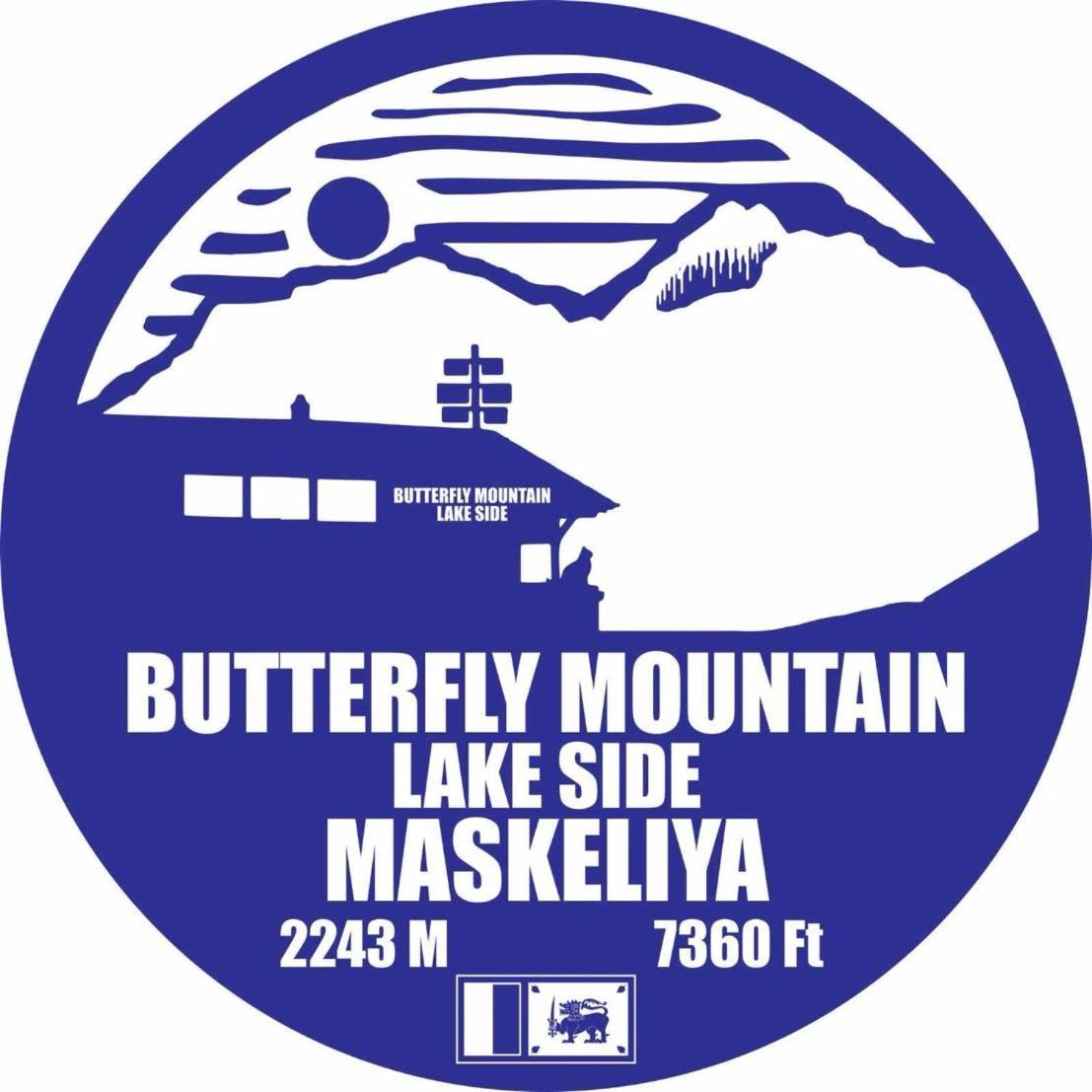 Butterfly Mountain Lake Side view 3