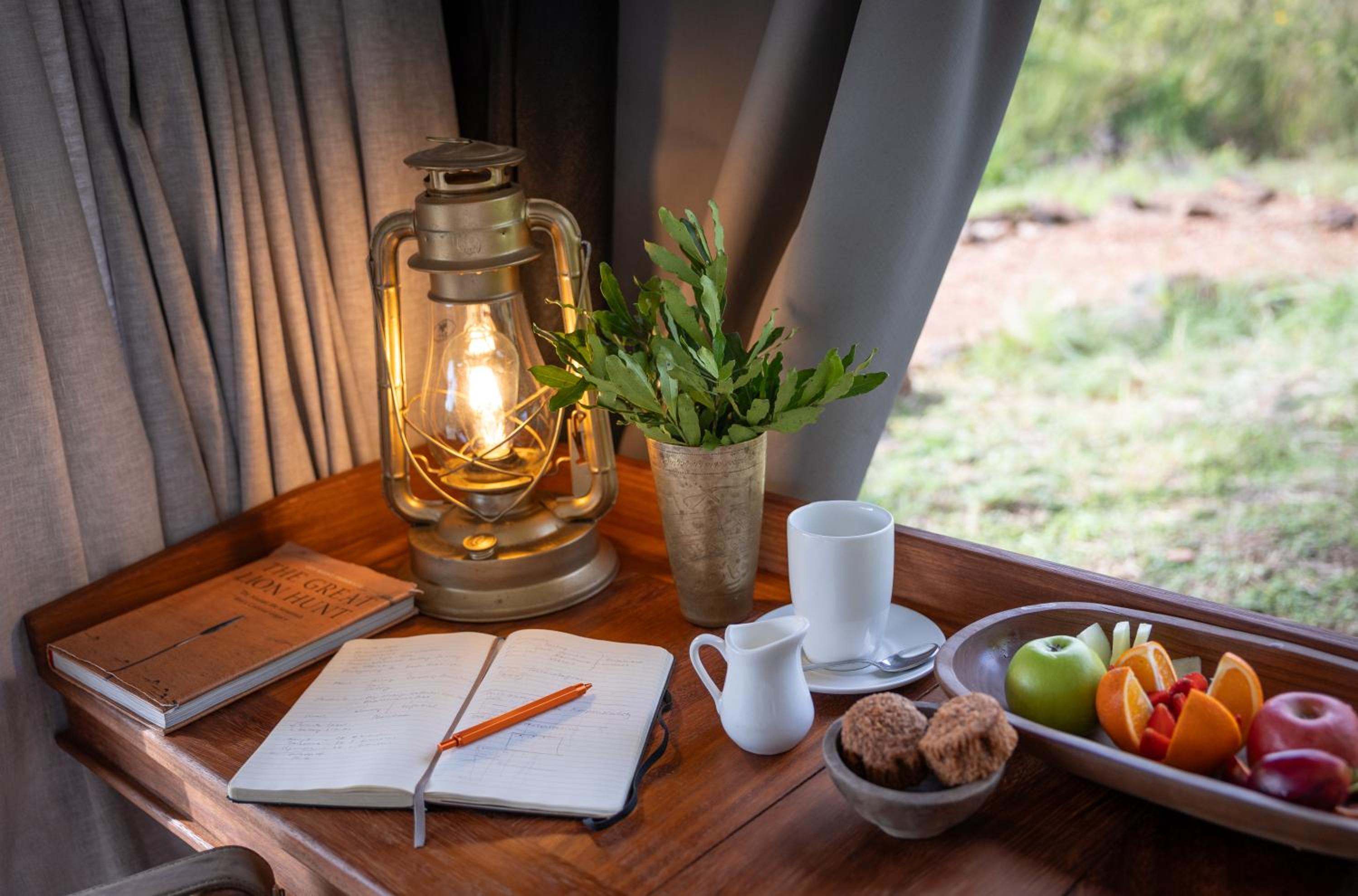 Basecamp Wilderness