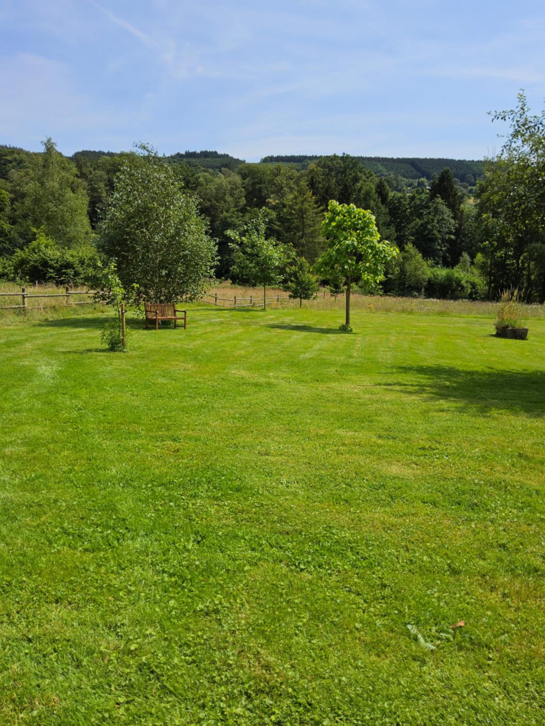Le Plein Sud